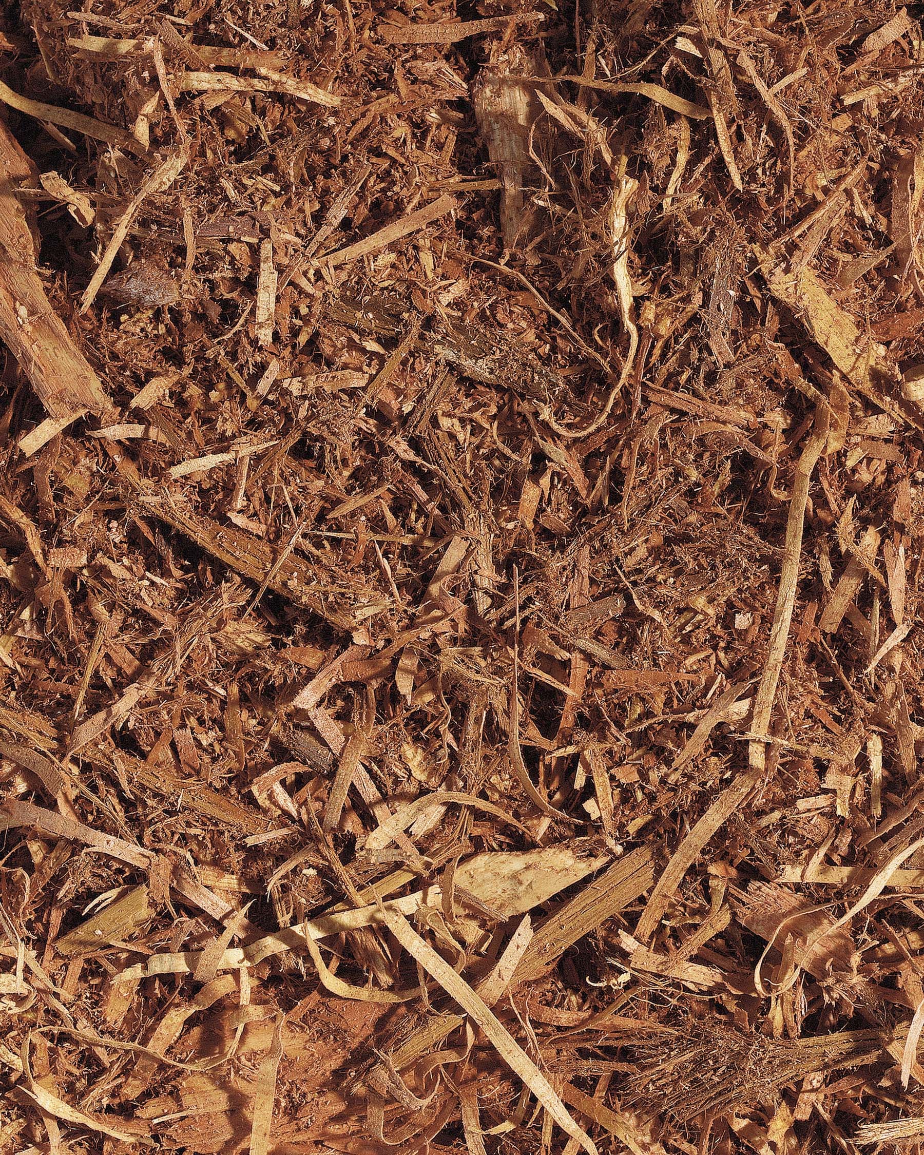 Garden Pro Garden Pro By Harvest 2 Cu Ft Cedar Blend Cedar Mulch In The