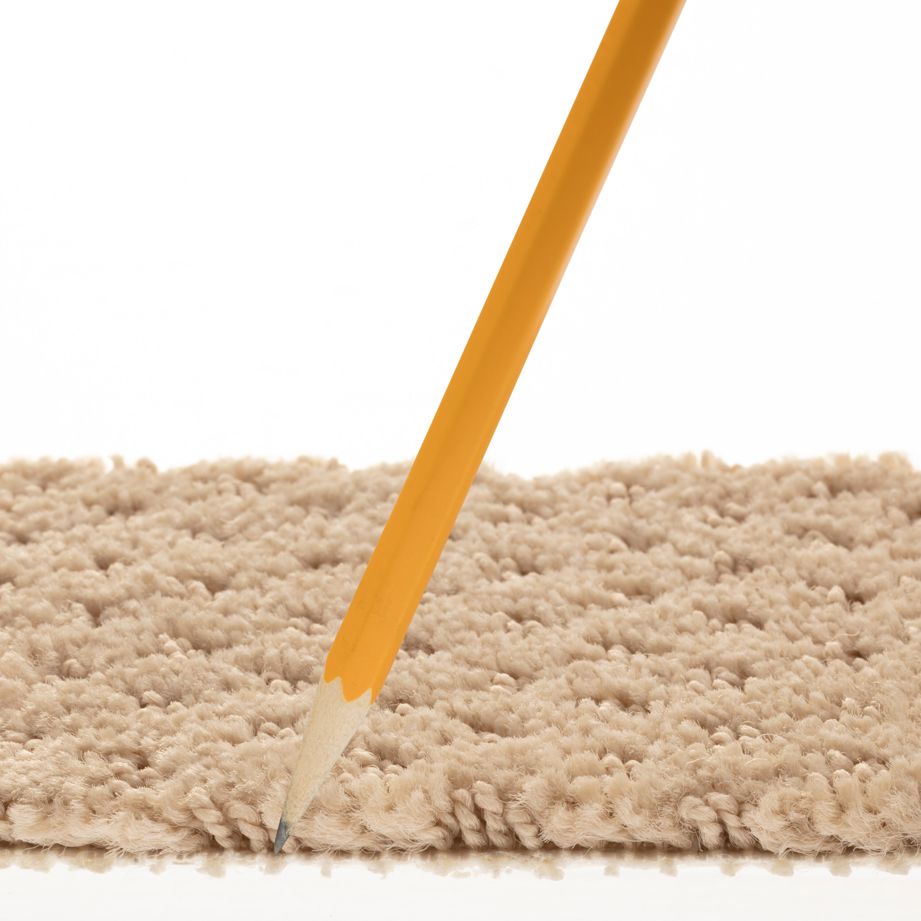 STAINMASTER PetProtect 7L899 - 114 - SAMP Carpet-Samples - View #7