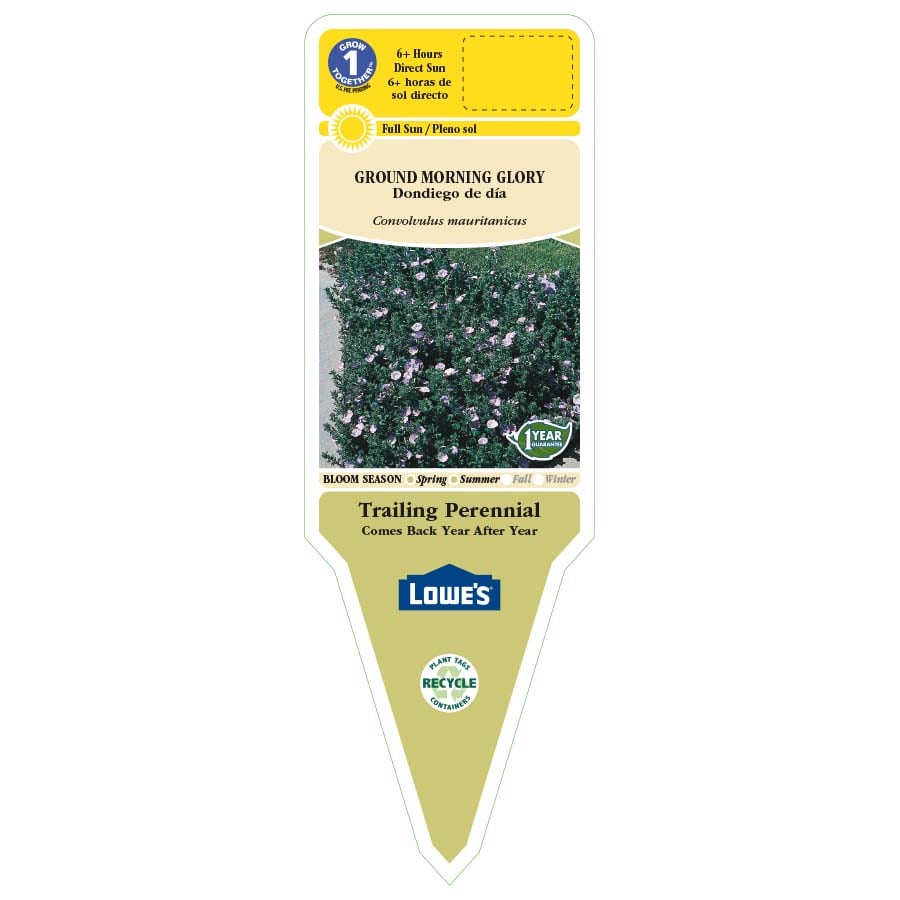 Lowe's 3936013 perennials - View #2