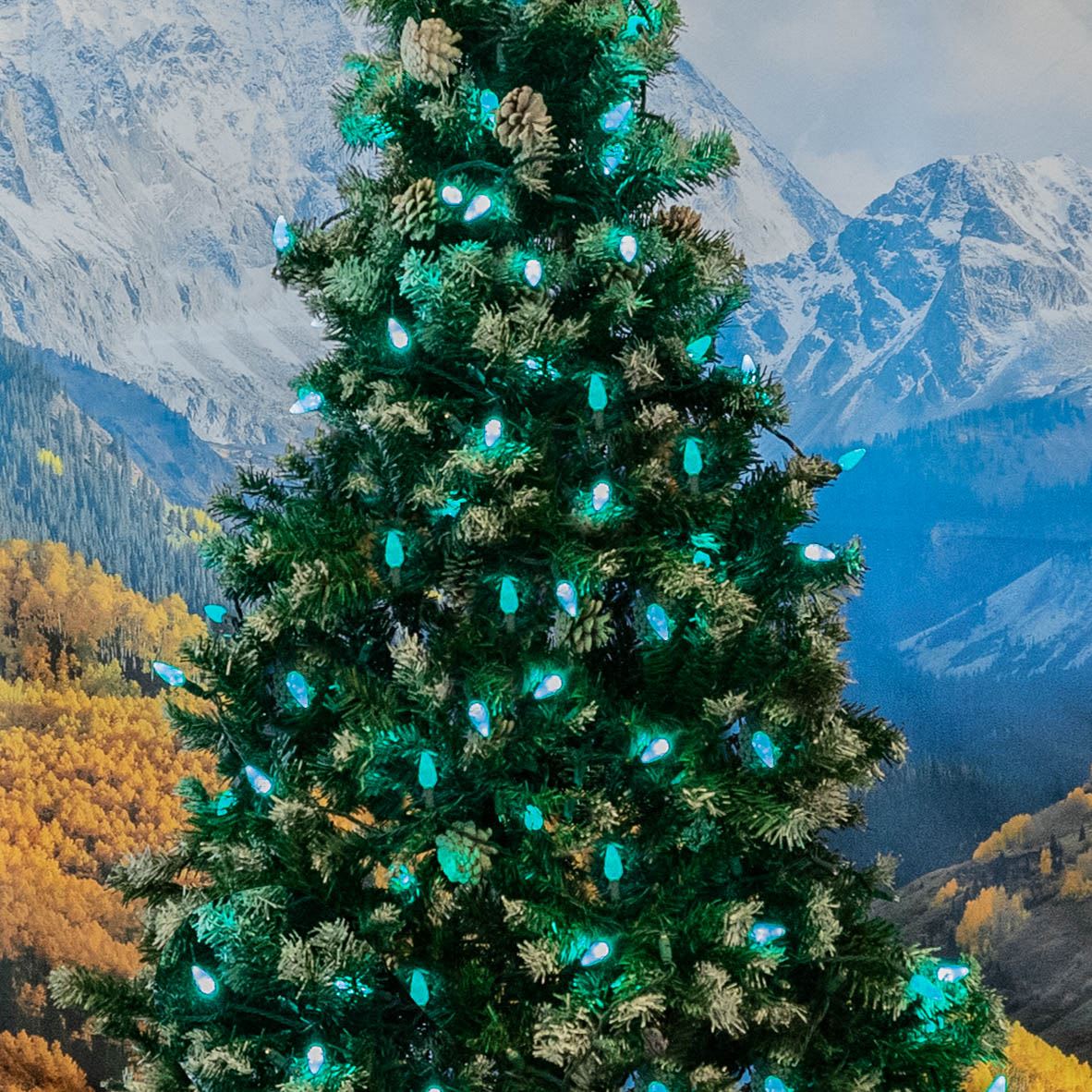 Novelty Lights CGC6-100-G-GR Christmas-String-Lights - View #5