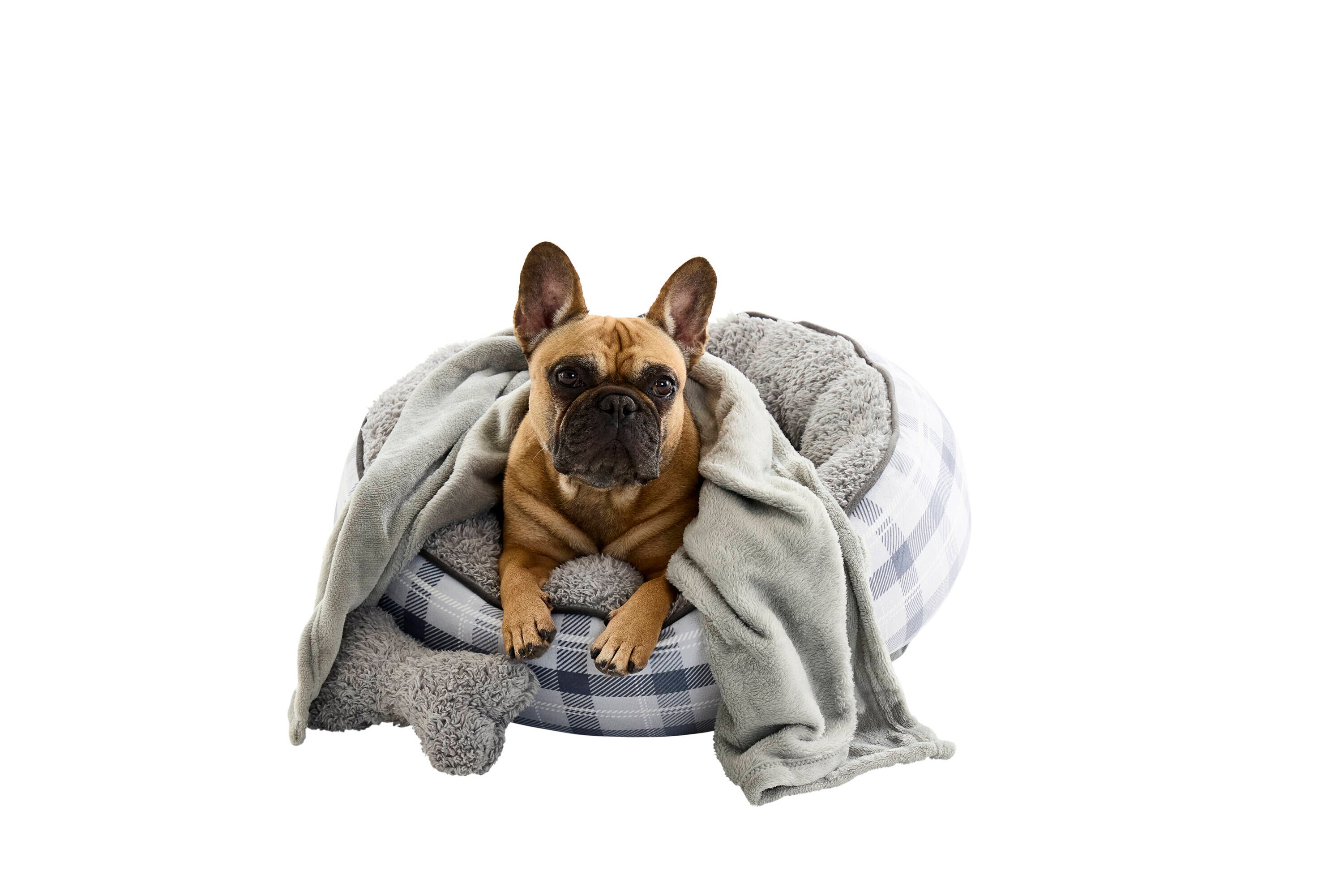 Style Selections FRND254-SMGRY01 Pet-Beds - View #5