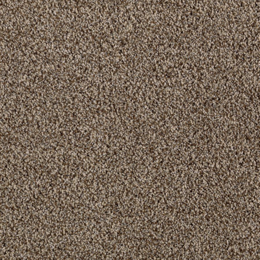 STAINMASTER S622589DRIFTING-N II (Sample) Essentials Beautiful Design II Drifting Sand Plush Carpet