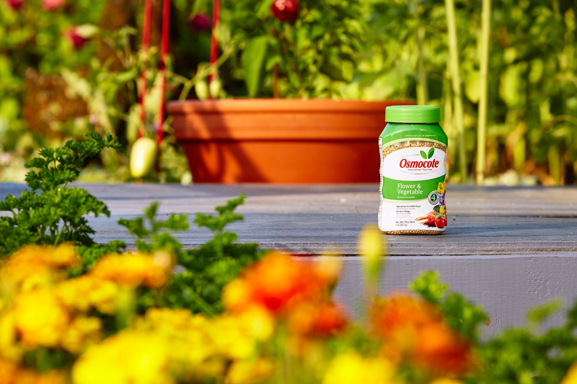 Osmocote 177160 Plant-Food - View #2