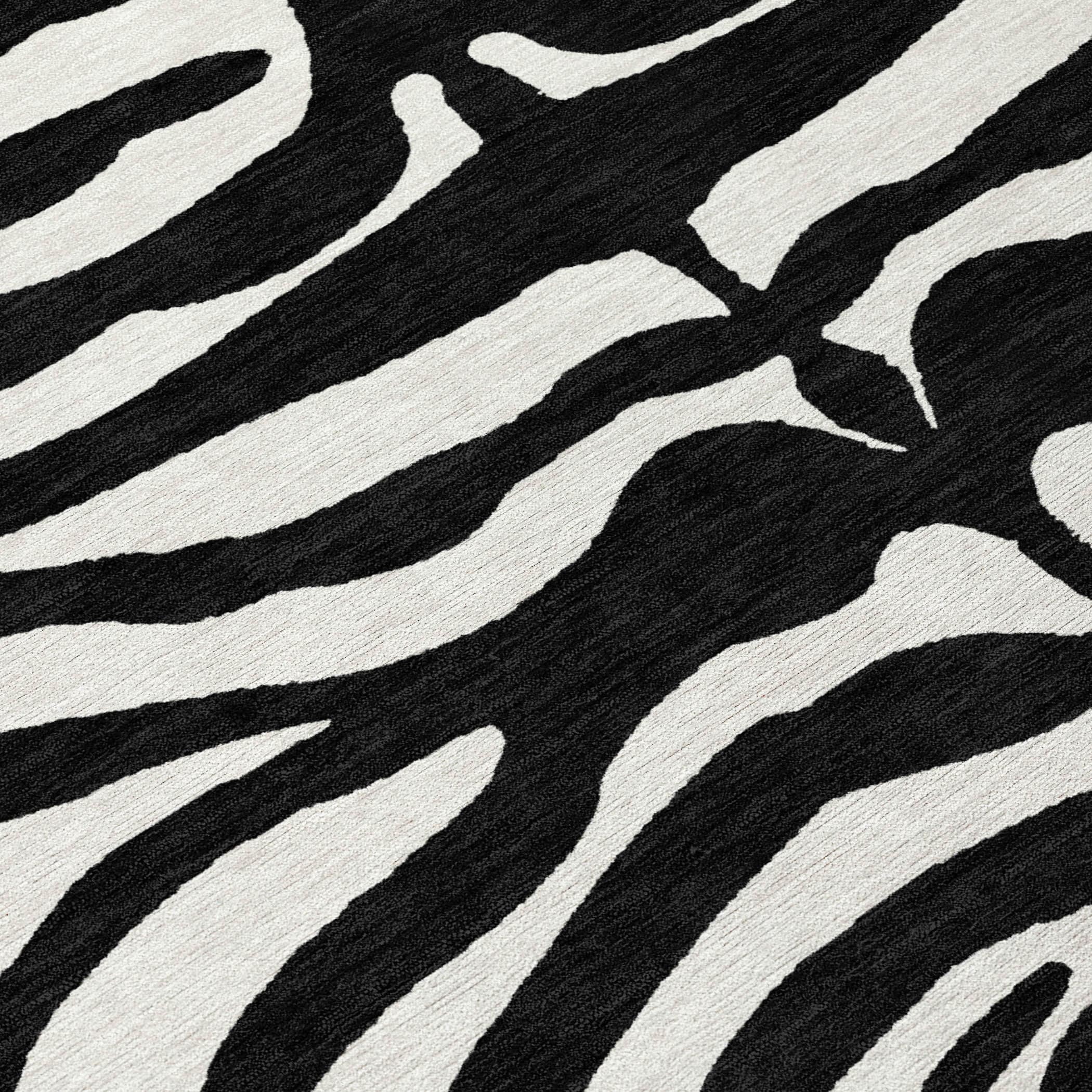 Addison Rugs ACN1042BK30X46 rugs - View #6