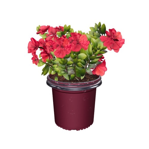 Three-dimensional representation of the product
