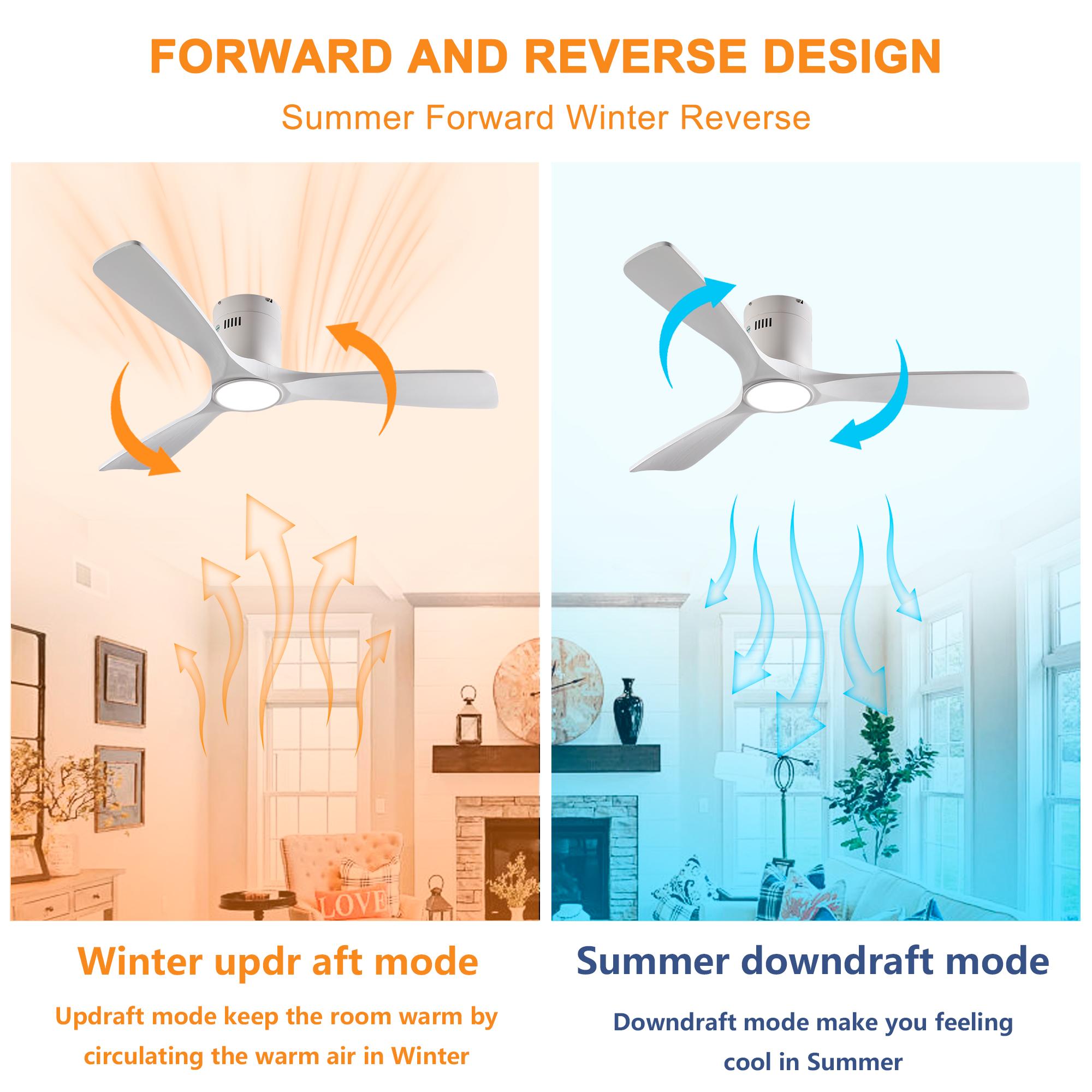 Bayfeve BF-366787-MP Ceiling-Fans - View #6