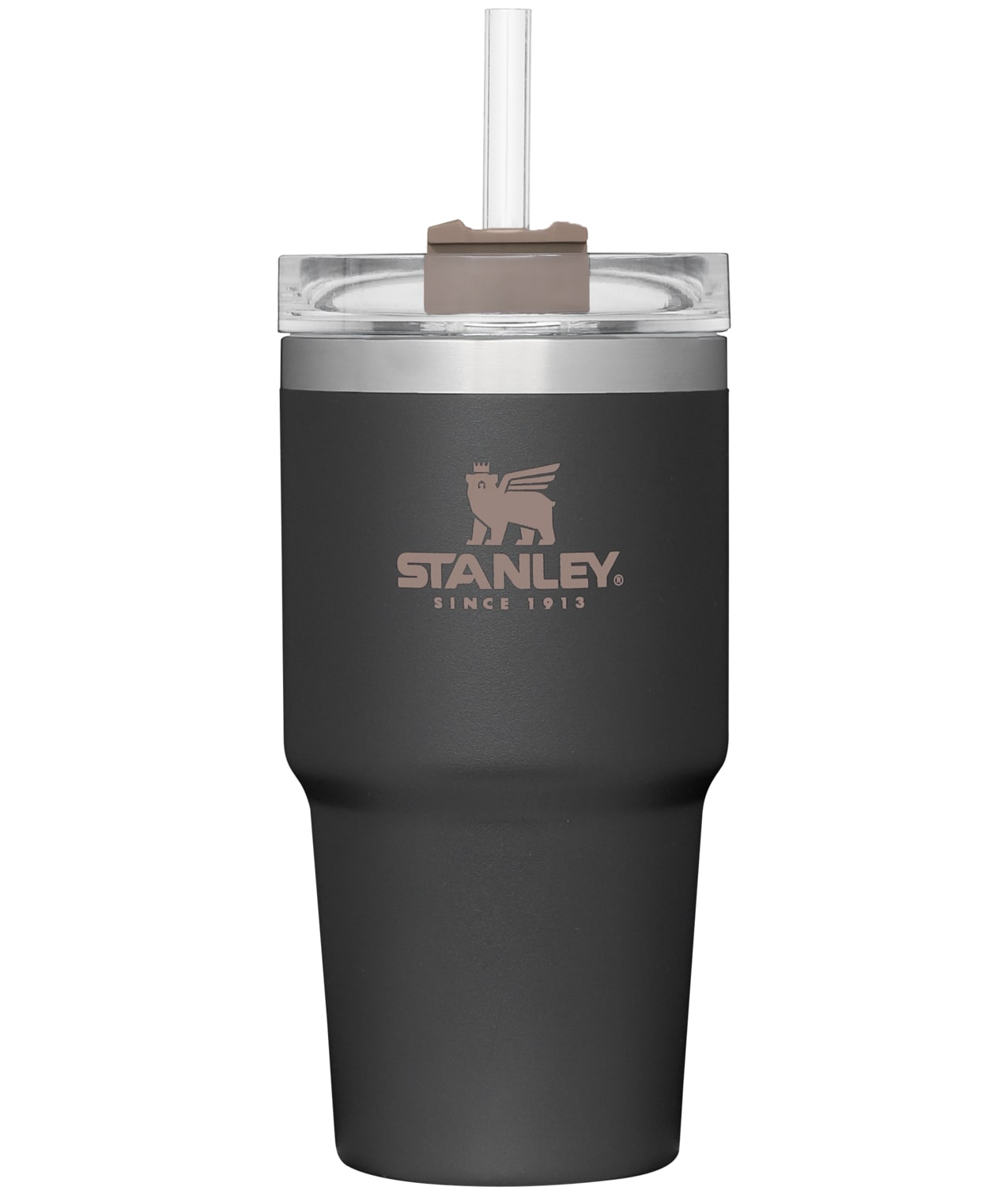 Stanley Quencher 20-fl oz Stainless Steel Insulated Water Bottle in the  Water Bottles & Mugs department at