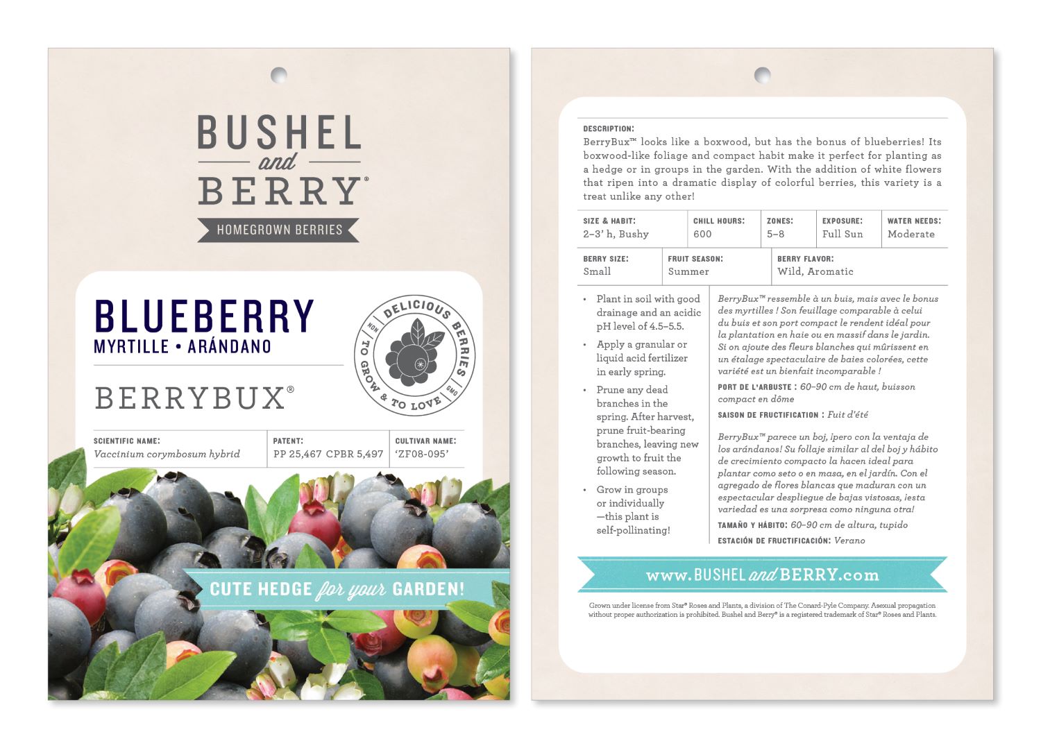 Bushel and Berry O892602 Fruit-Plants - View #2
