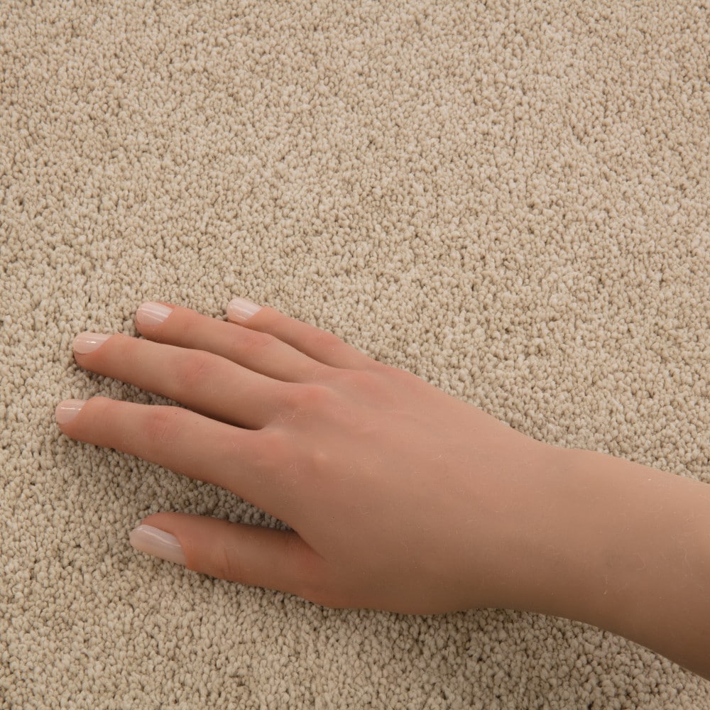 STAINMASTER PetProtect 7L972-102-SAMP Carpet-Samples - View #4