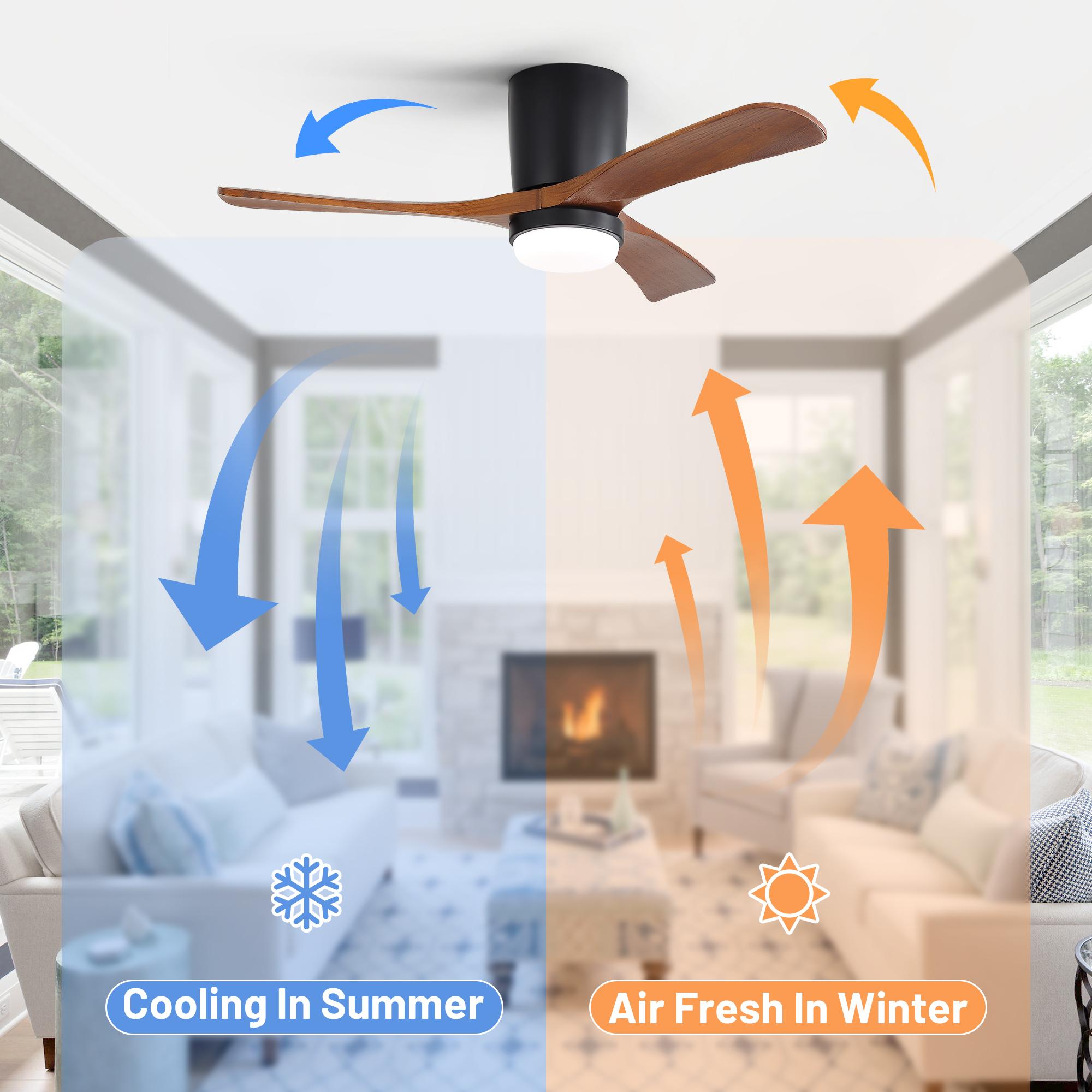 Bayfeve BF-447368-MP Ceiling-Fans - View #6