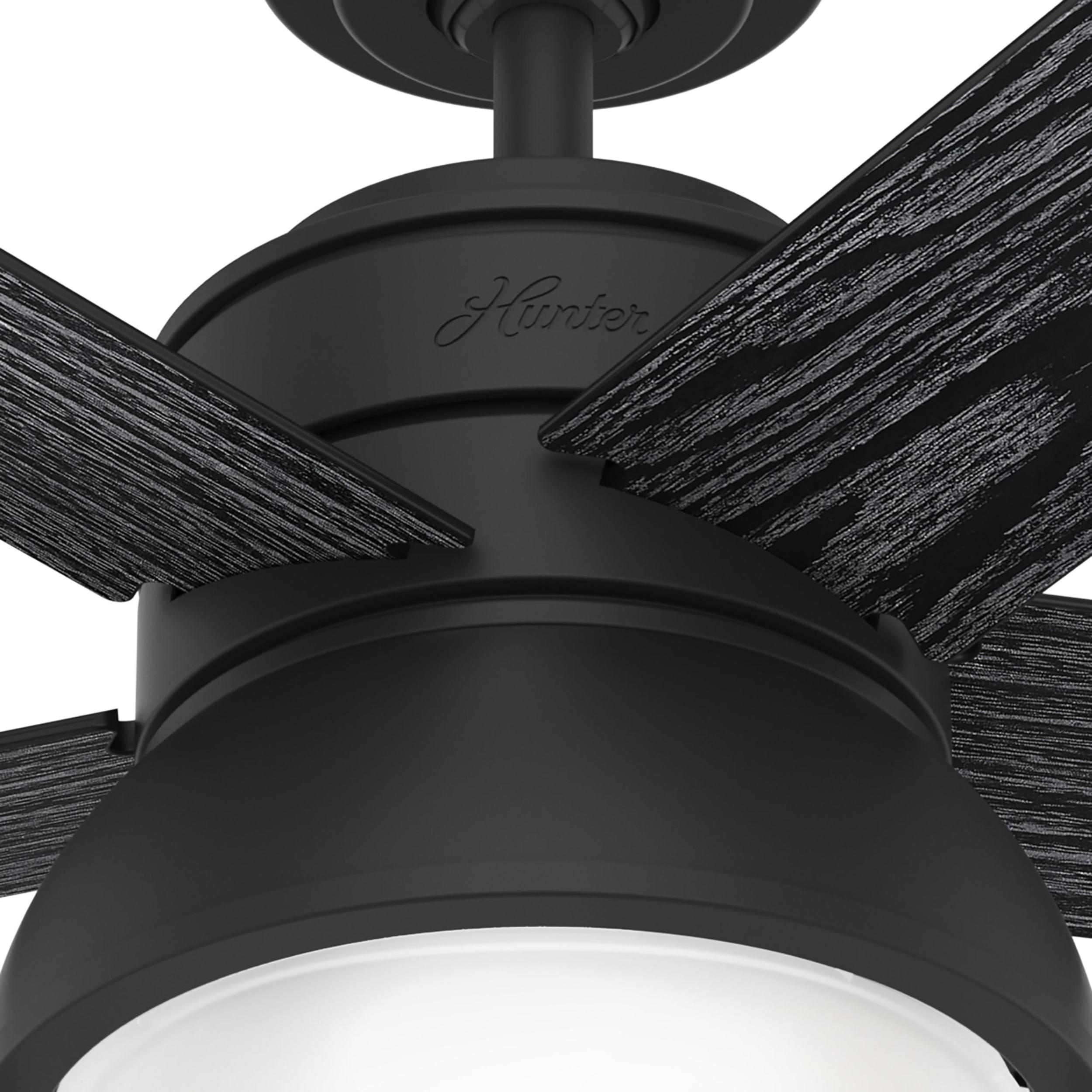 Hunter 51139 Ceiling-Fans - View #12