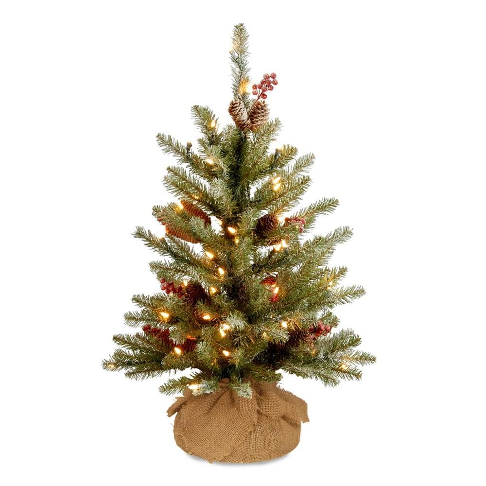 National tree company 2 ft dunhill fir pre lit artificial christmas