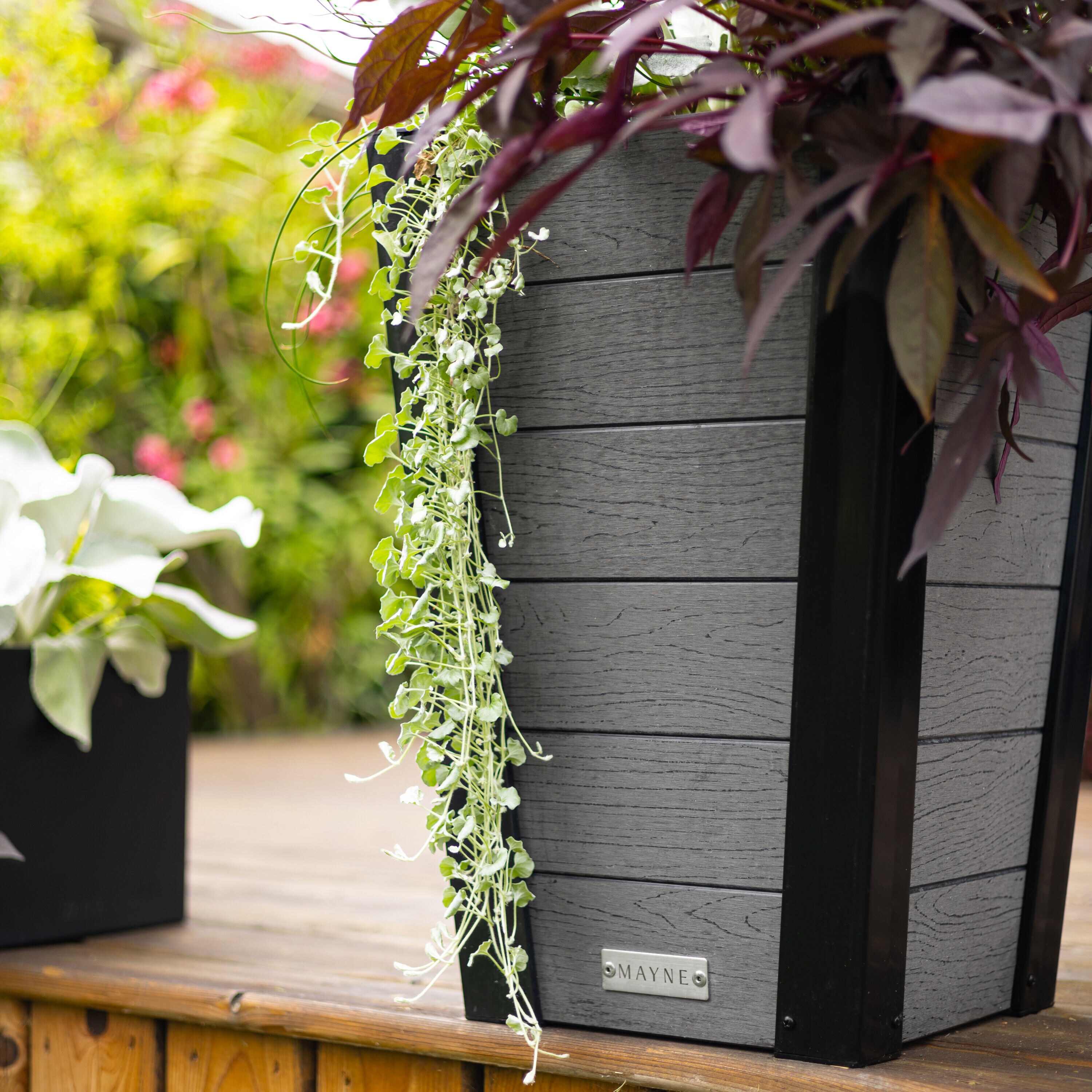 Mayne 2853-CH Planter-Window-Box - View #5
