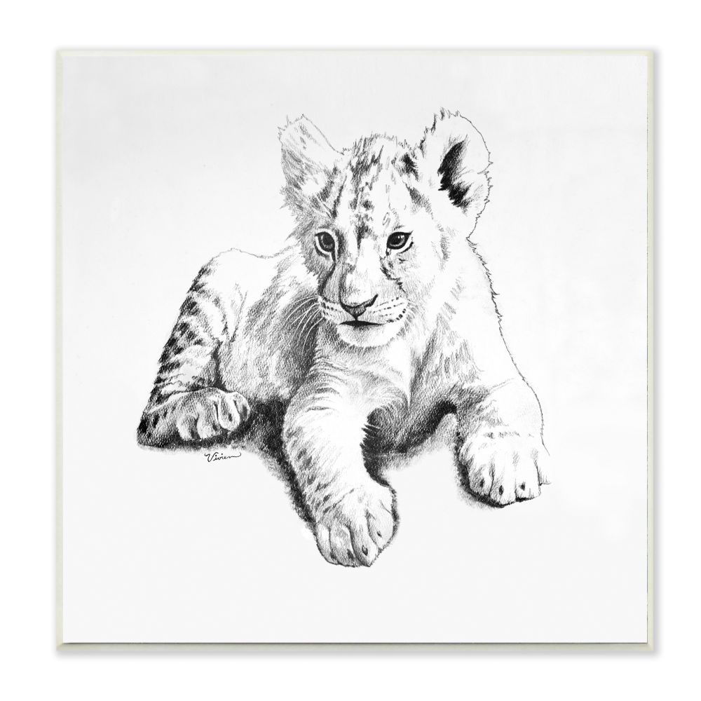realistic baby lion drawing