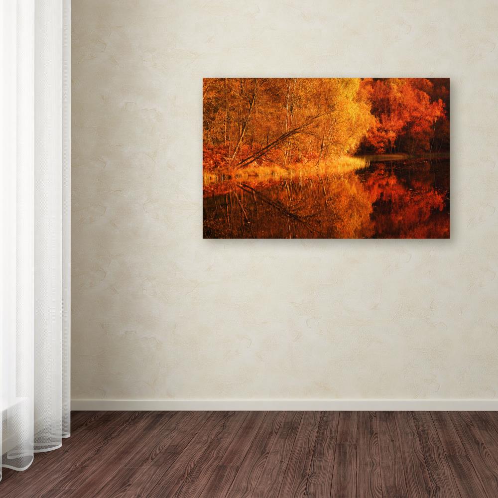 Trademark Fine Art PSL0408-C3047GG Wall-Art - View #3