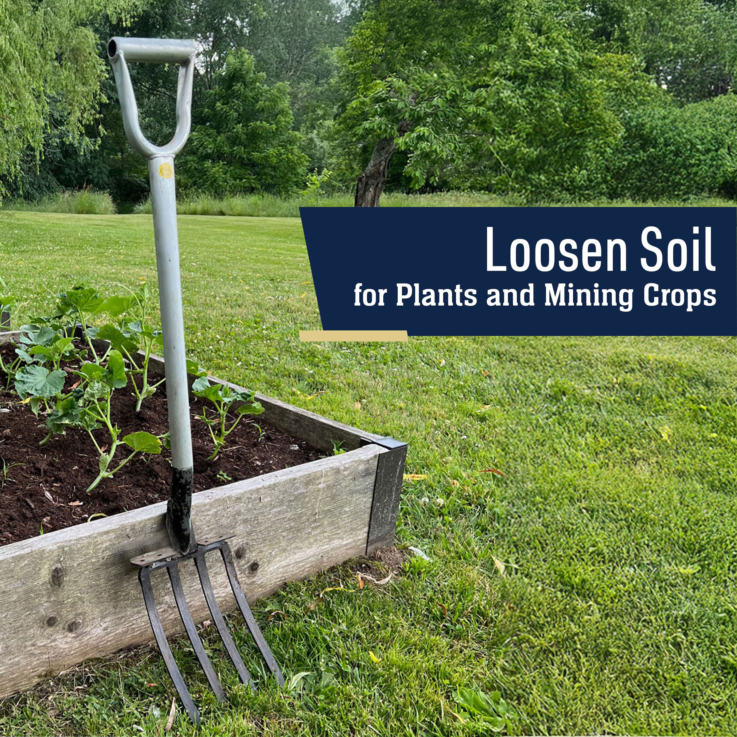 Kings County tools GW79W07-01 forks - View #2