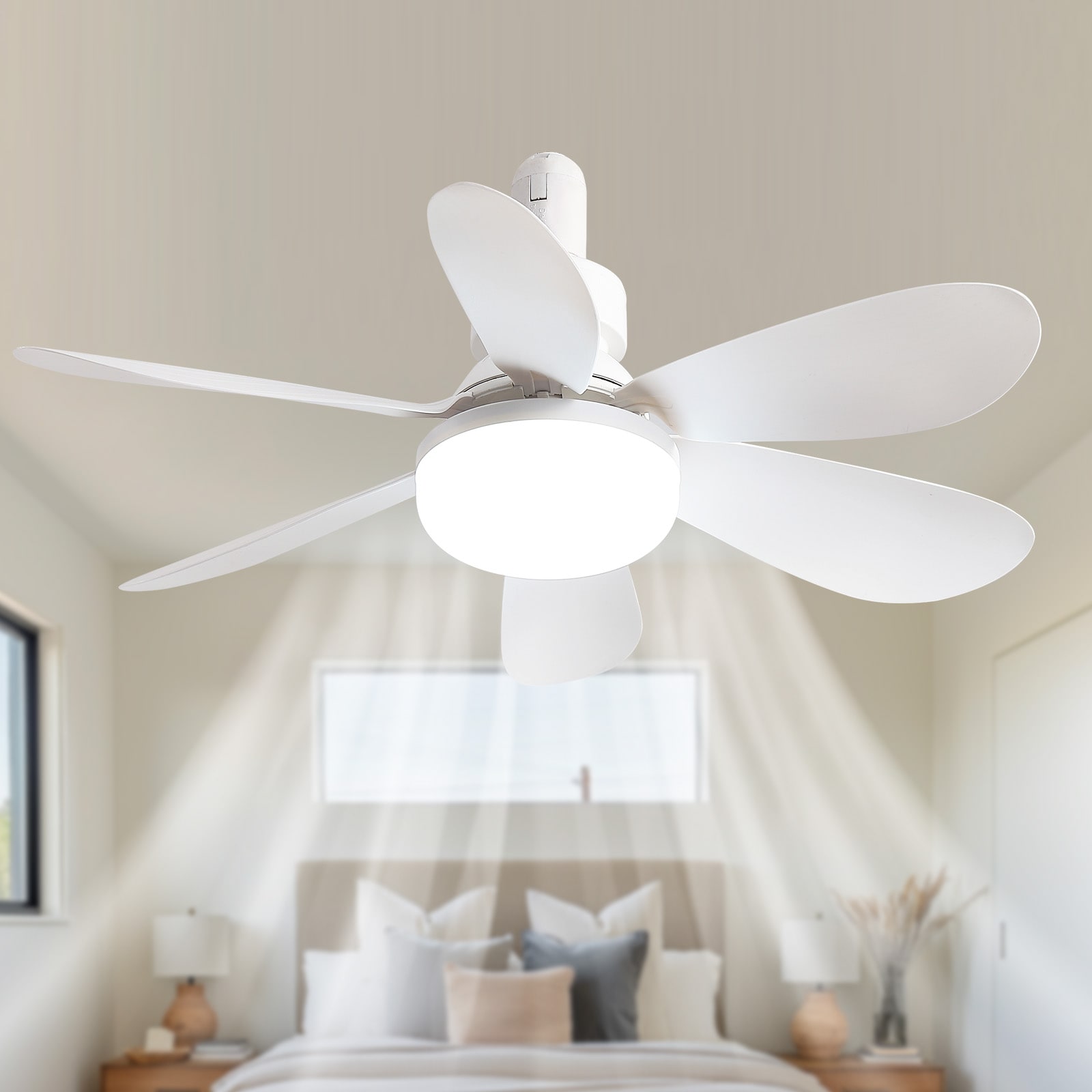 RCCFBHM CRFCFSDDS996 Ceiling-Fans - View #4