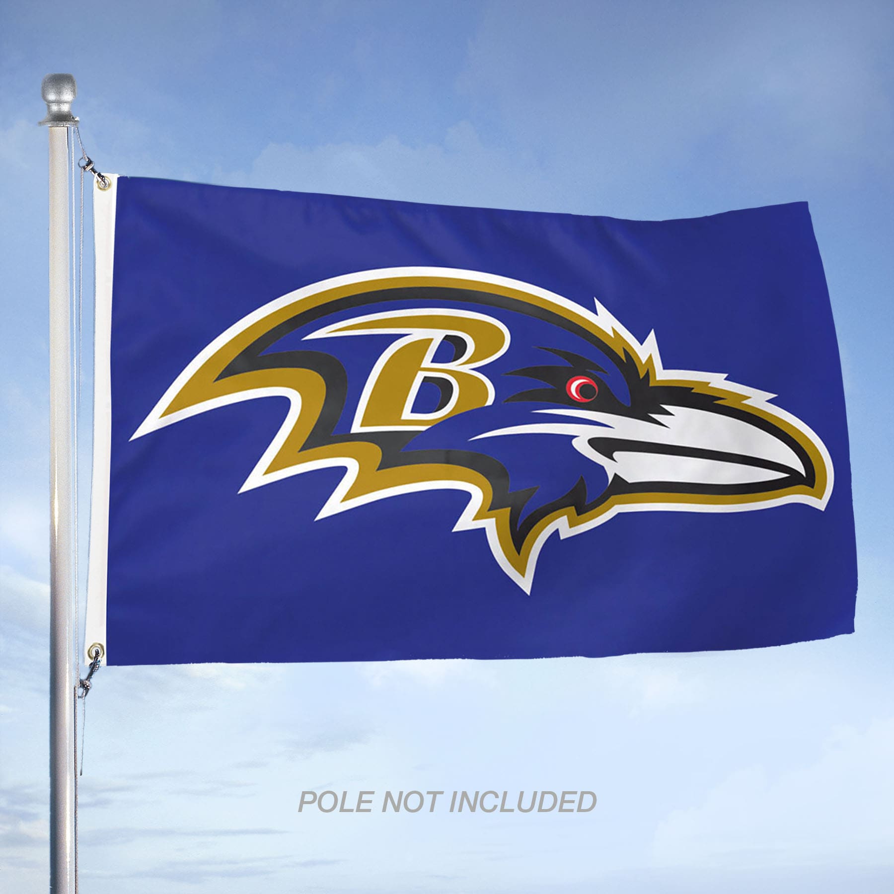 WinCraft Sports 5-ft W x 3-ft H Baltimore Ravens Flag at Lowes.com