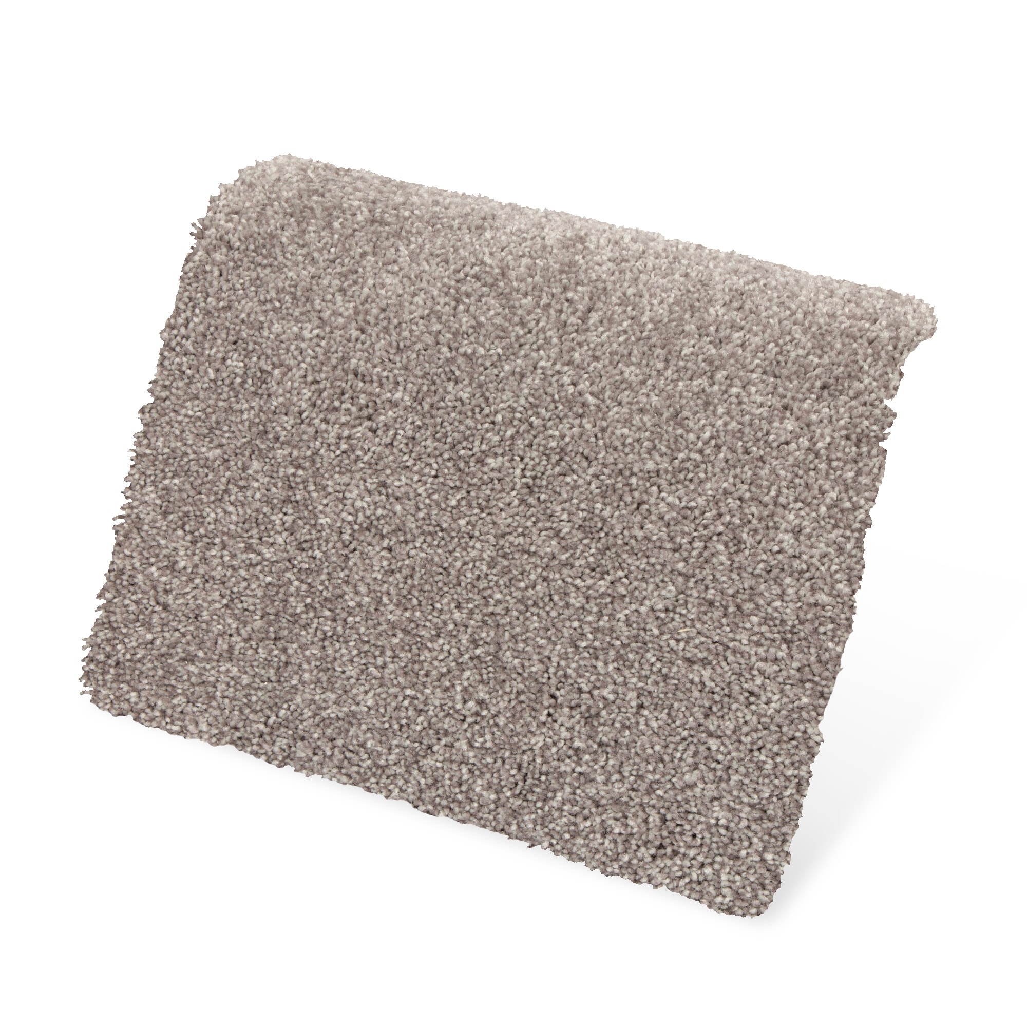 STAINMASTER PetProtect SS022-12-L005 Carpet-Panel - View #3