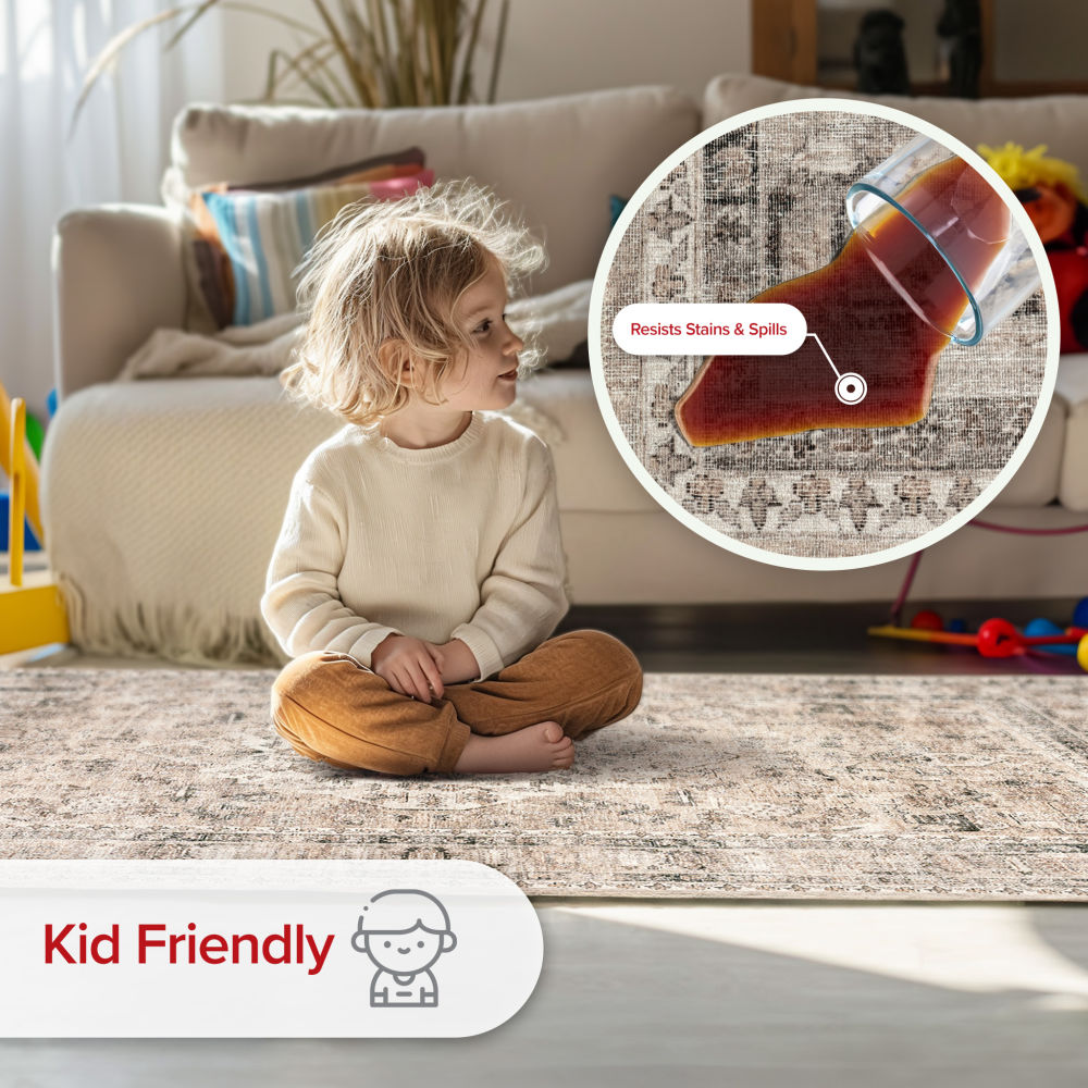 Davi Gray 9' x 12' Washable Synthetic Area Rug