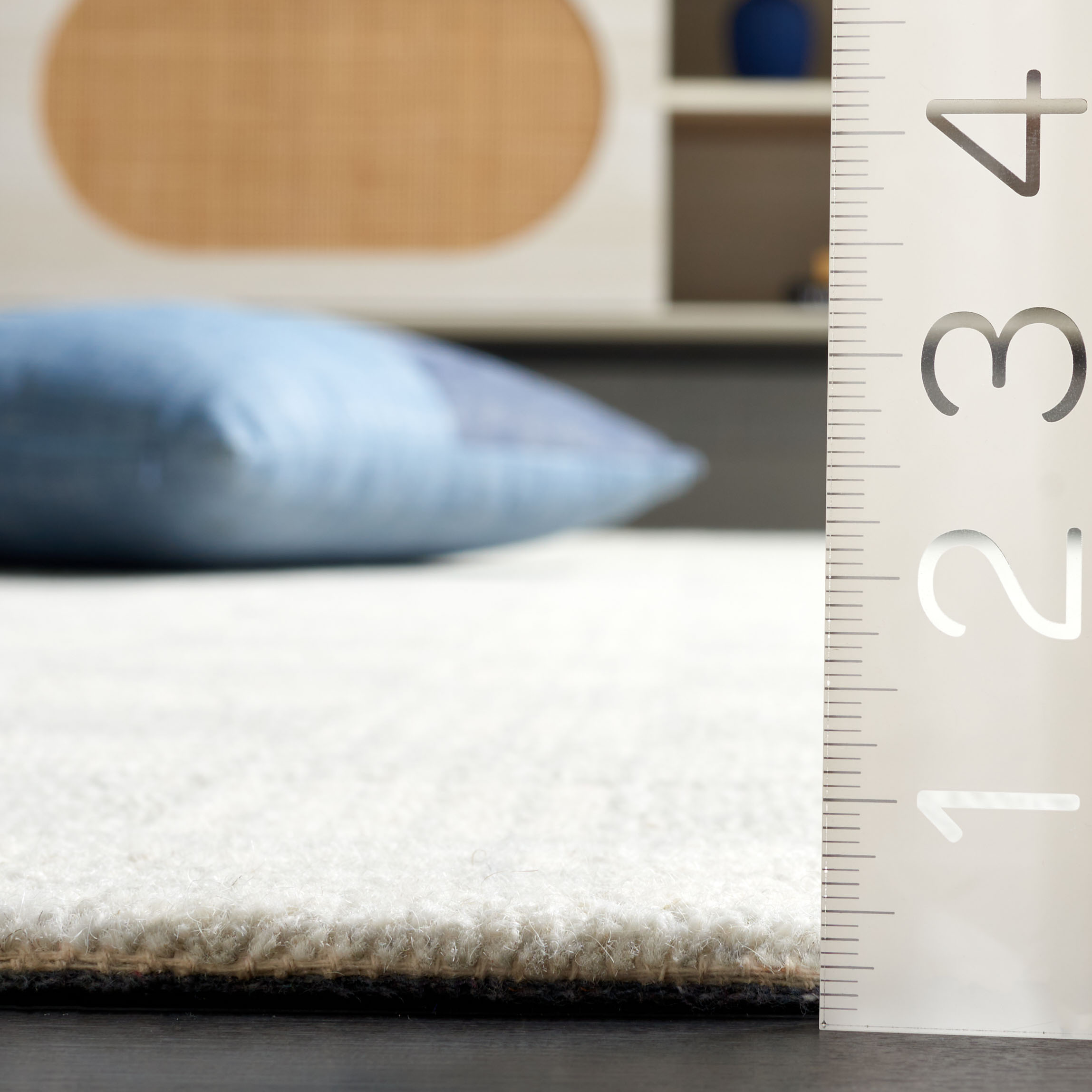 Safavieh EBN358F-5 rugs - View #5