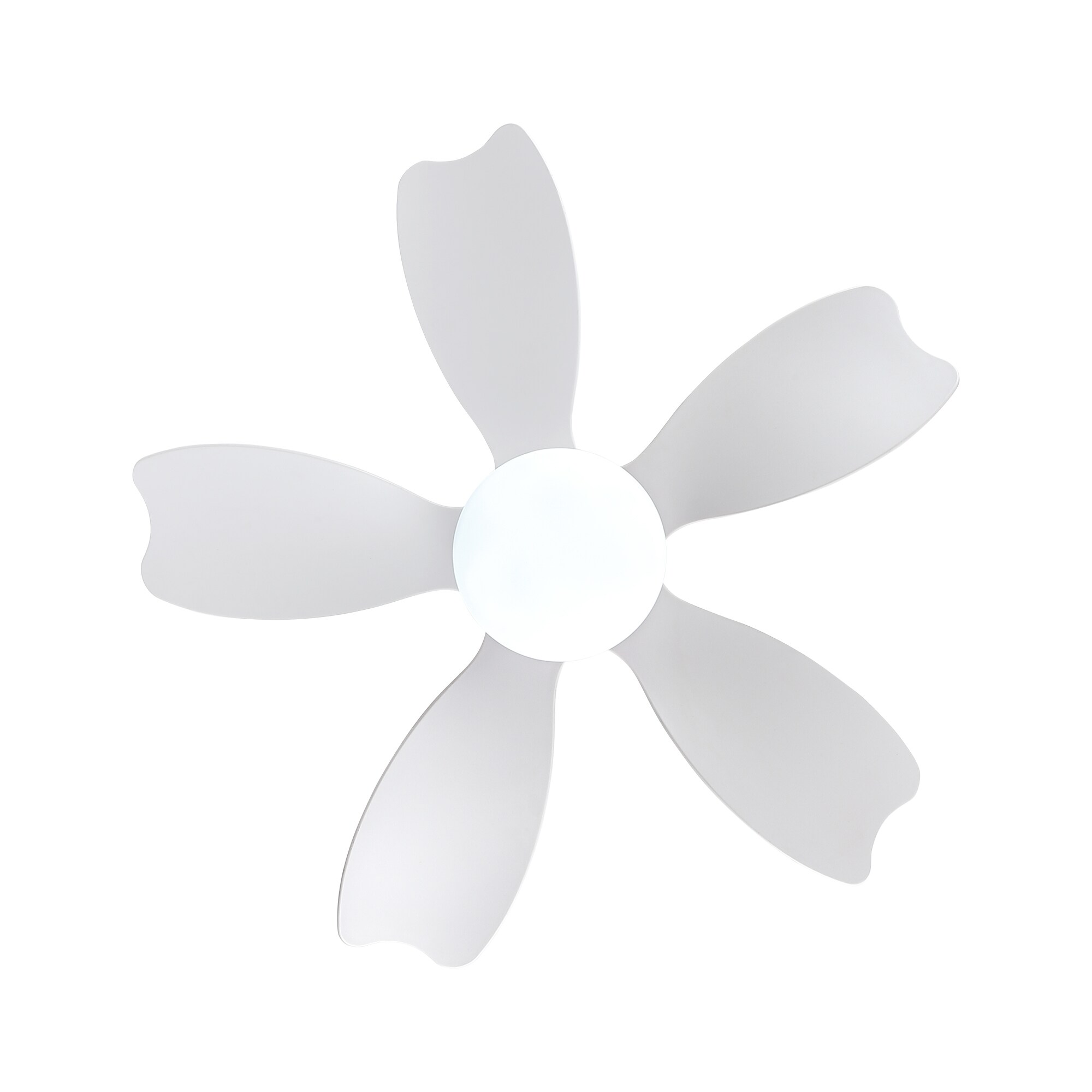 Sunrinx MG50-2-FSD Ceiling-Fans - View #9