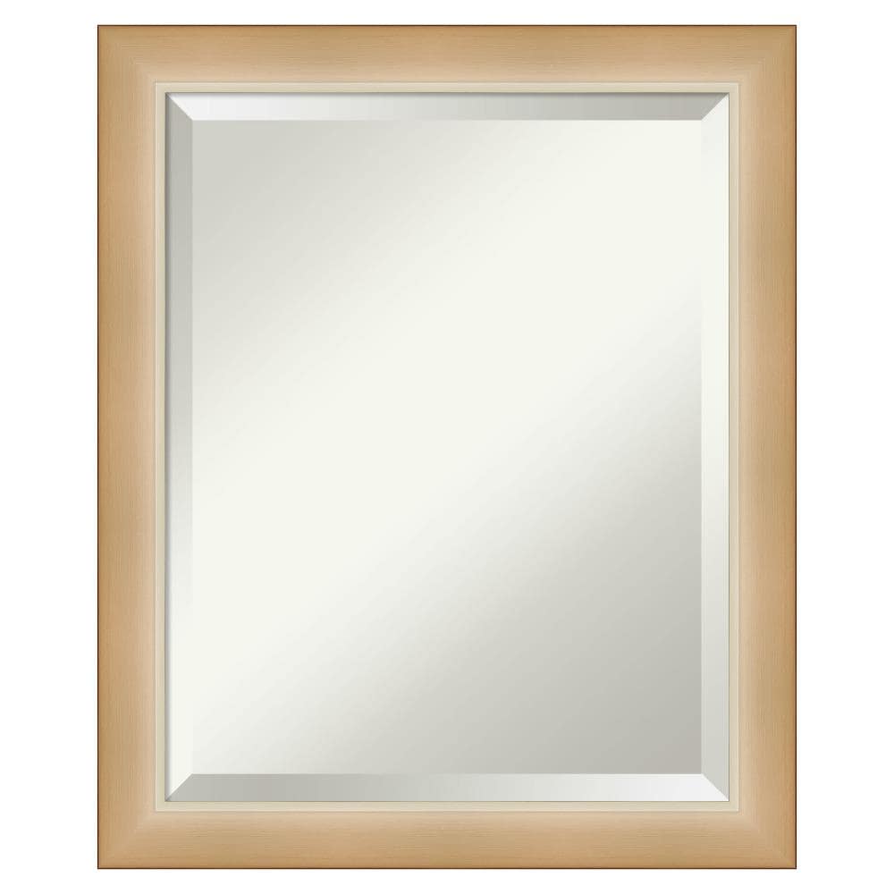 Amanti Art DSW4960757 Eva 19.25-in x 23.25-in Framed Rectangle Bathroom Vanity Mirror ( Champagne,Gold,Silver )