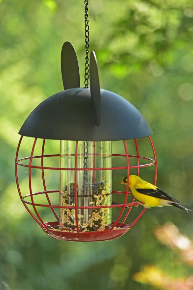 Disney Red And Black Metal Bird Feeder in the Bird Feeders department ...