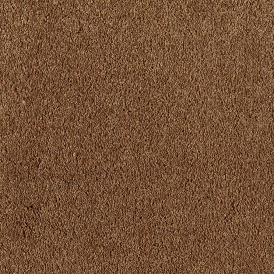 STAINMASTER Essentials Dream Big I Kodiak Textured Indoor Carpet at ...