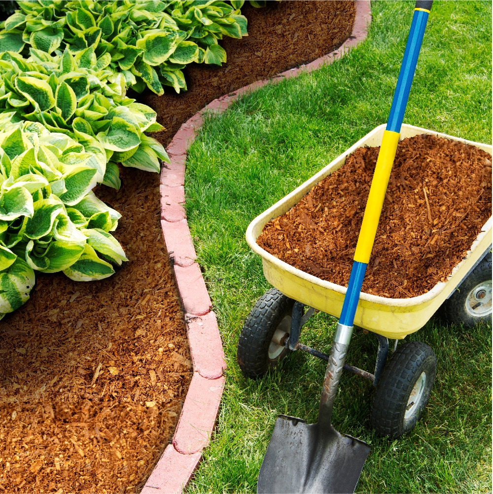  M1FLOR-A-75 Bagged-Mulch - View #18