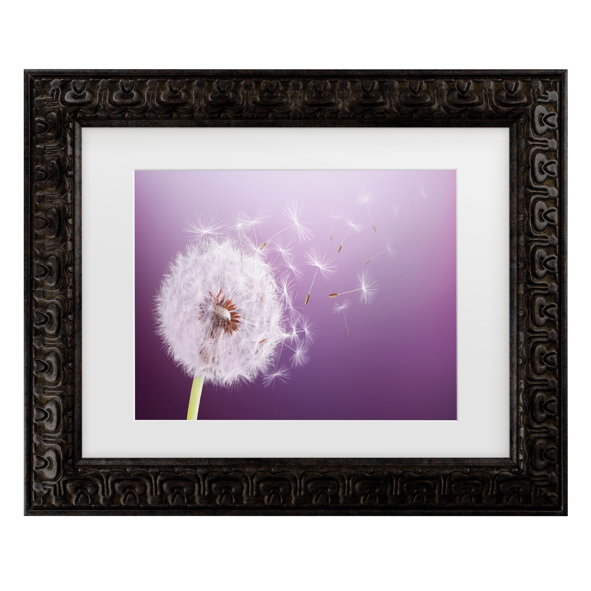 Trademark Fine Art 1X10929-DG1620MF Wall-Art - View #2