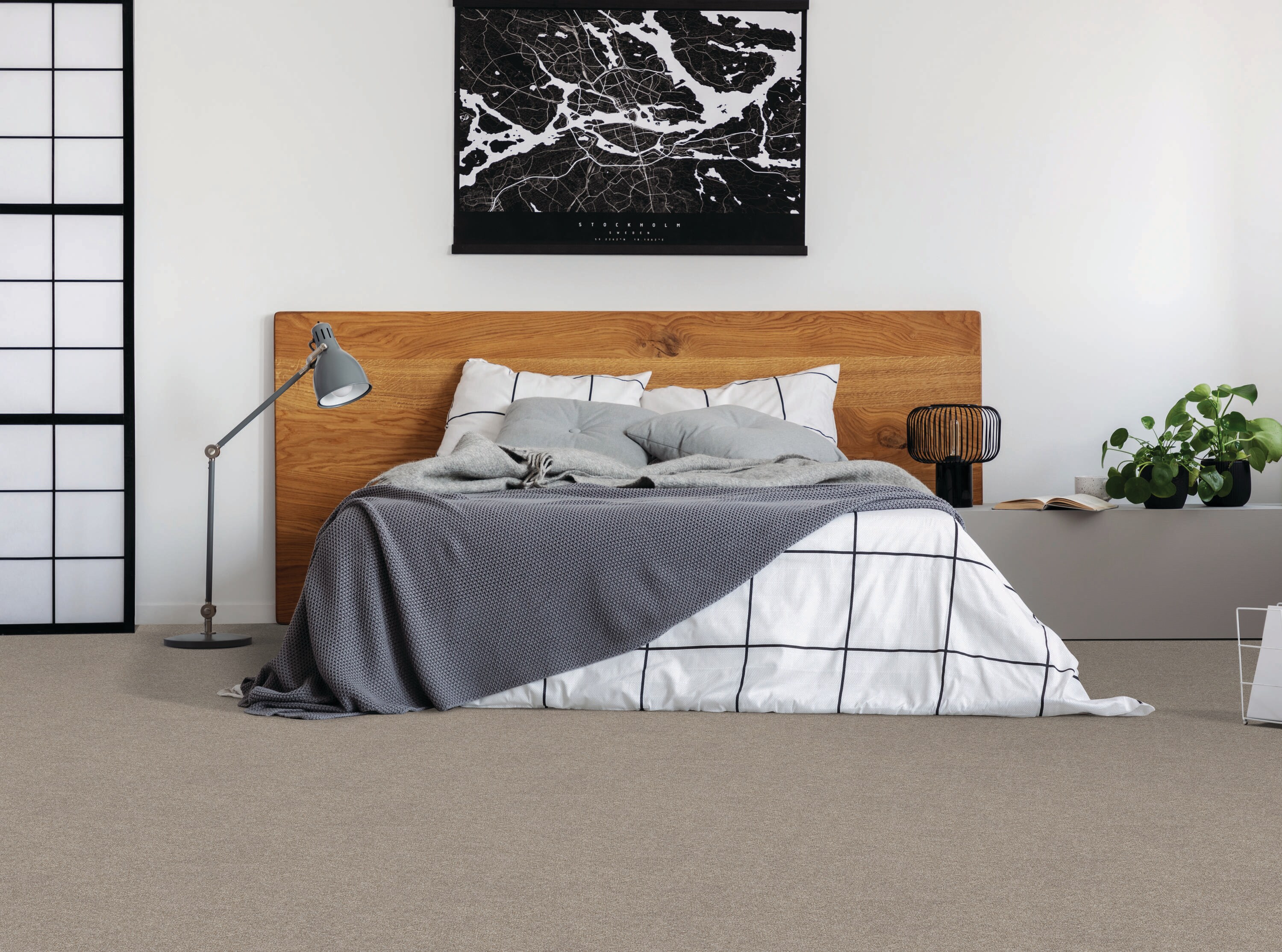 STAINMASTER LU481-9513C Carpet-Samples - View #3