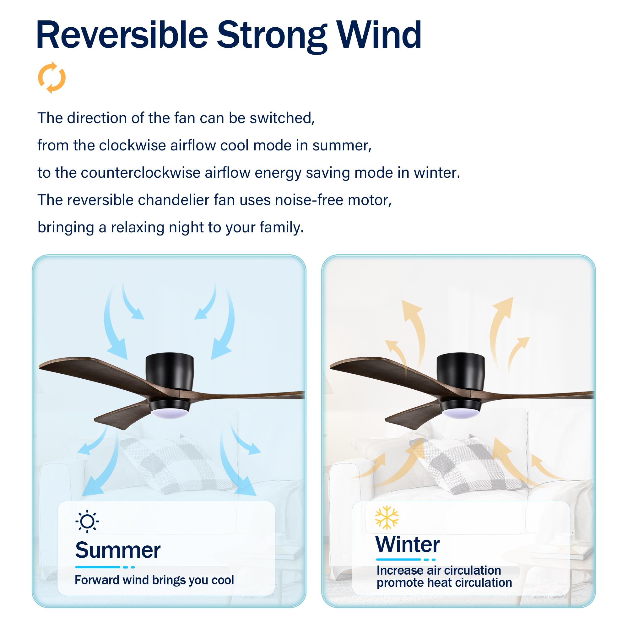 Bayfeve BFHM-78237-CF Ceiling-Fans - View #11