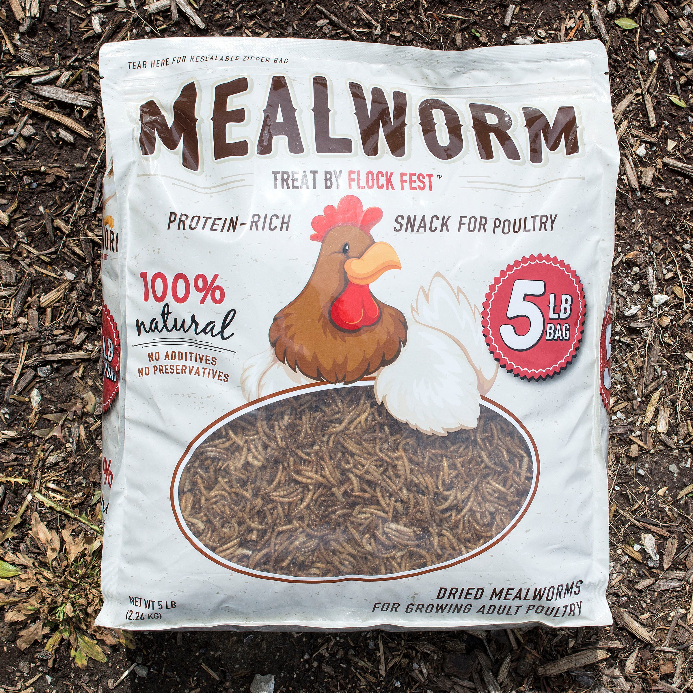 mealworms 5 lbs