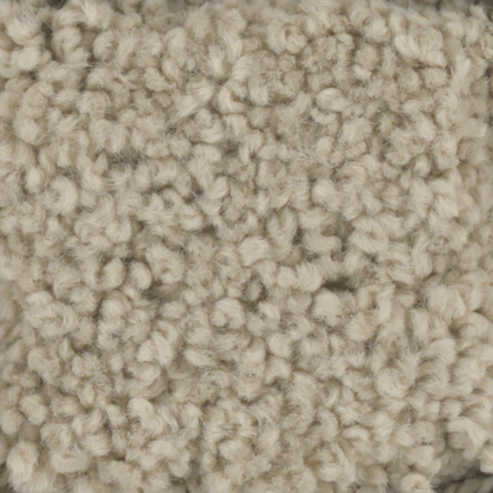 STAINMASTER 7L612-701-SAMP (Sample) Signature Subtle Beauty 3 12 Ft Tee Pee Textured Carpet