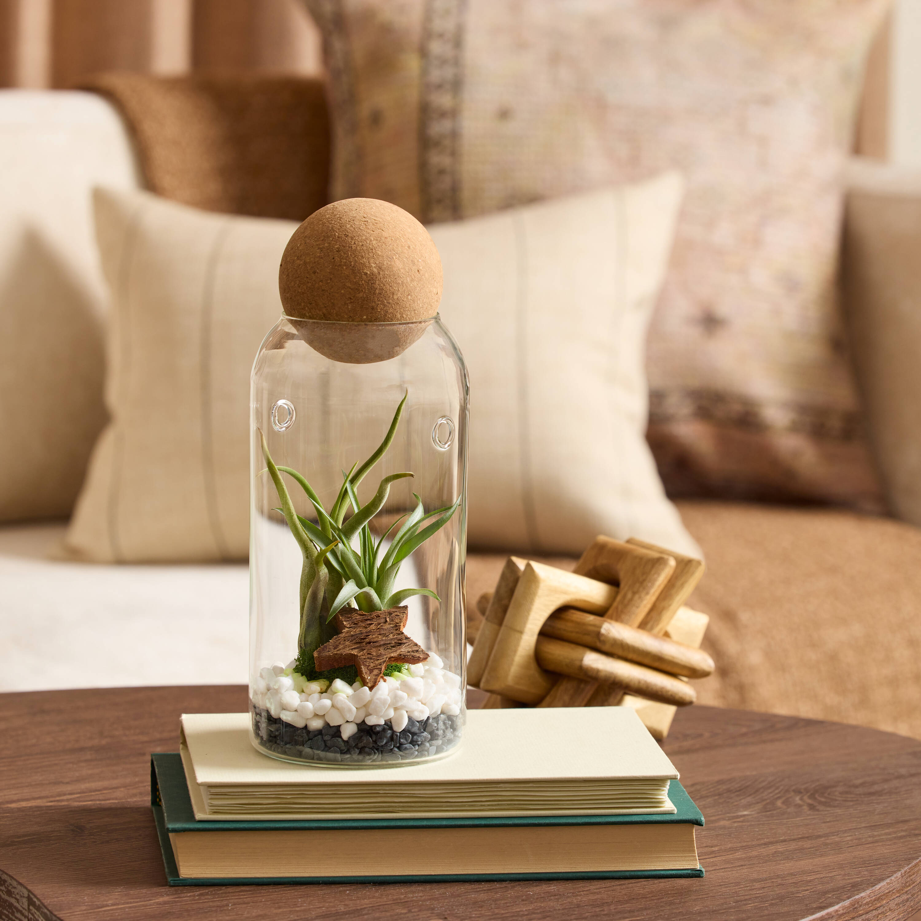 LiveTrends Winter Blend House Plant in 1-Pack(s) Terrarium