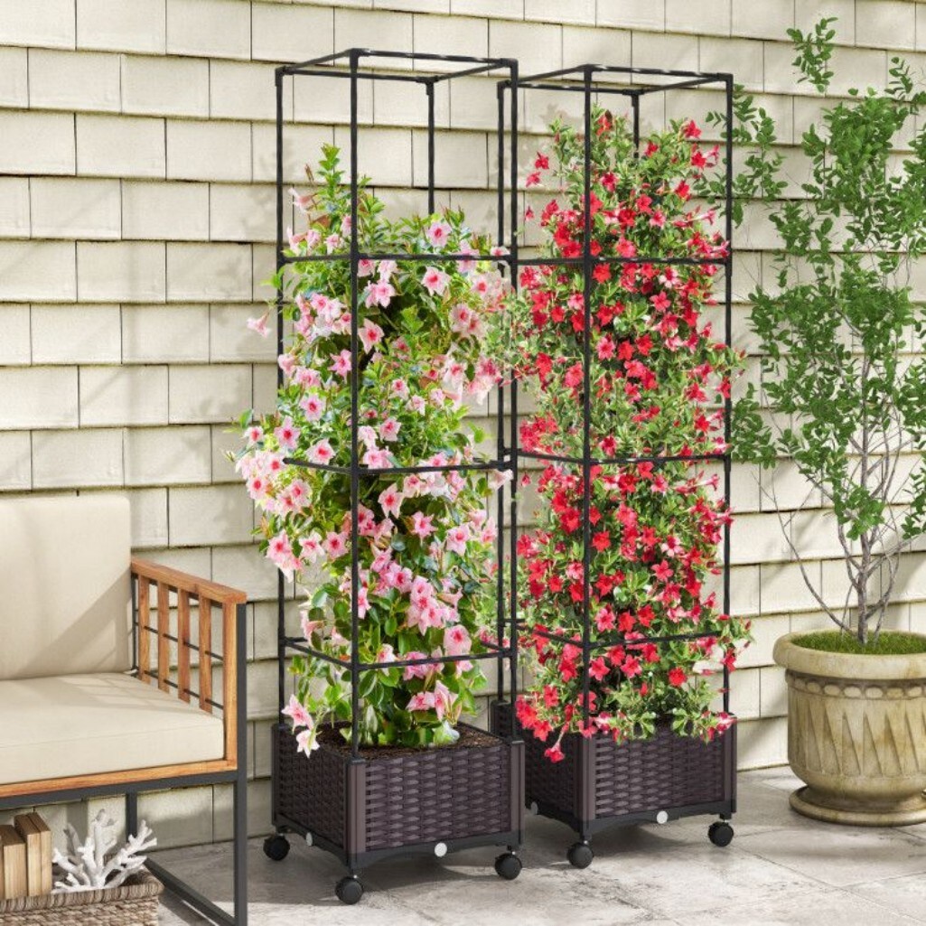 AHIOU HOME ZAAHD-HQRANWGT Garden-Trellis - View #2