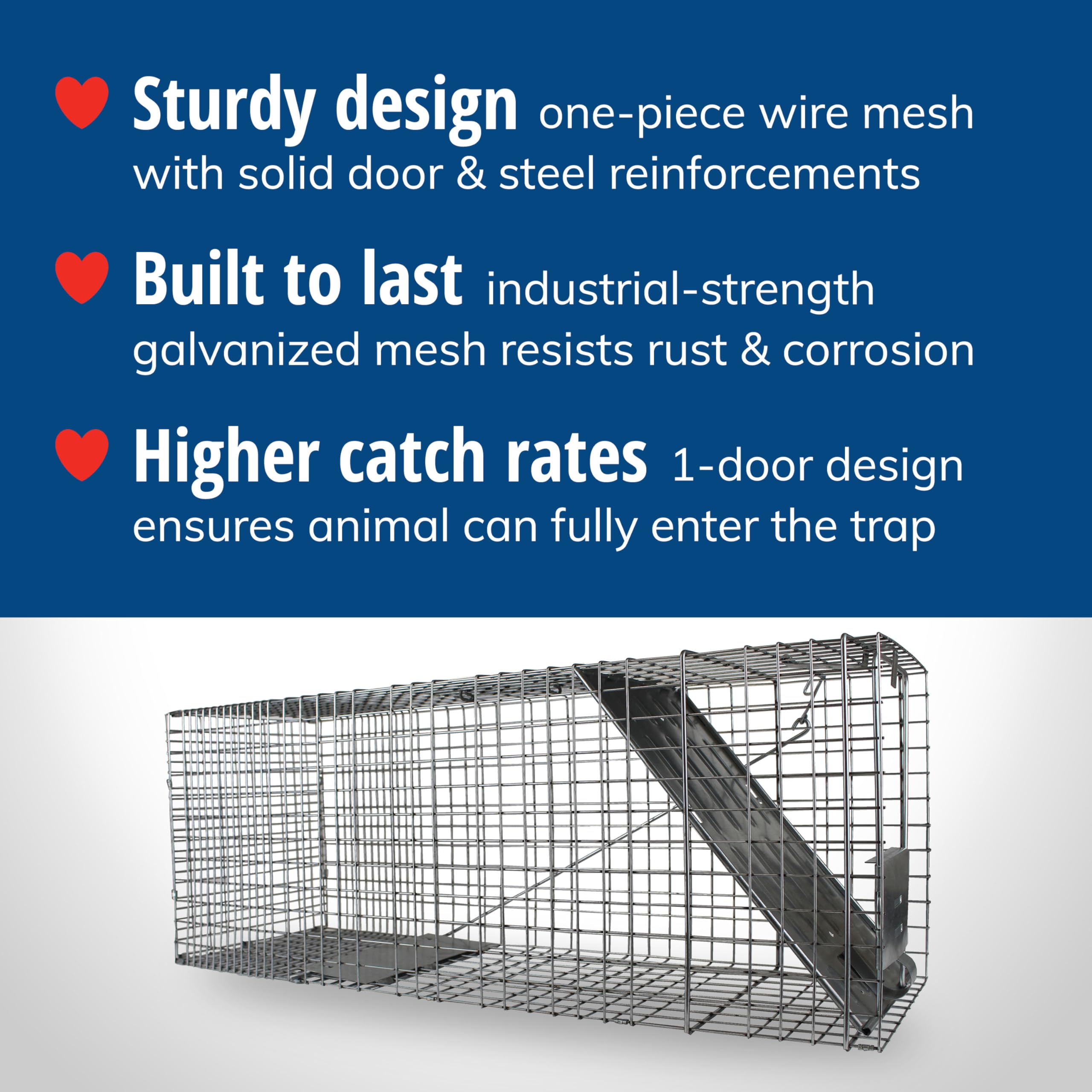 Havahart 1079SR Large 1-Door Humane Live Animal Trap for Raccoons