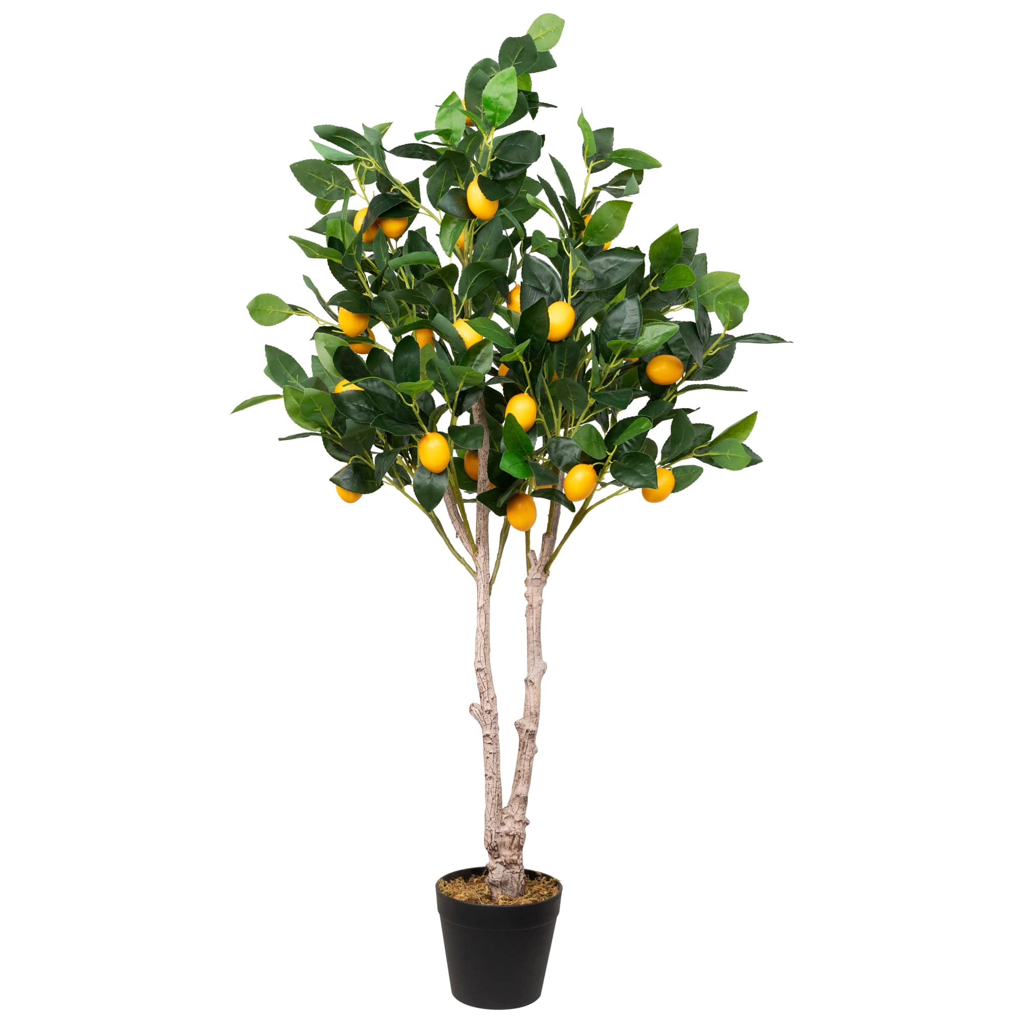 Northlight NORTHLIGHT-WN37353 Artificial-Plants-Trees - View #2