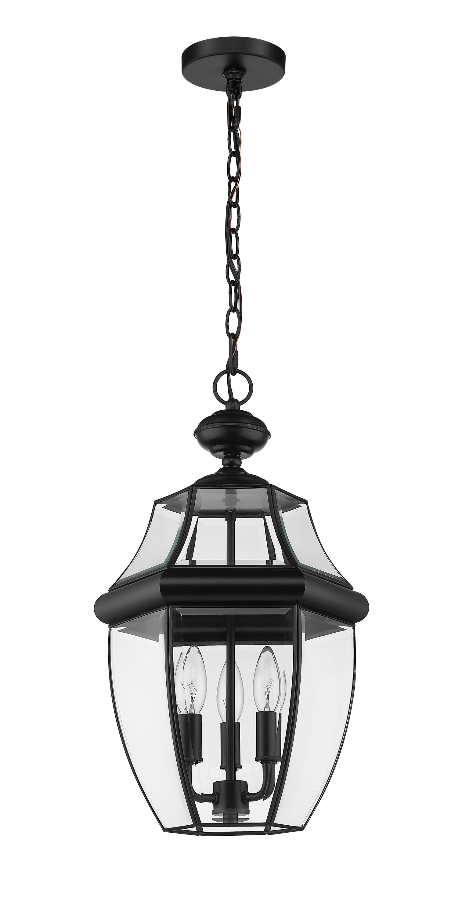 Z-Lite 580CHB-BK Pendant-Lights - View #5