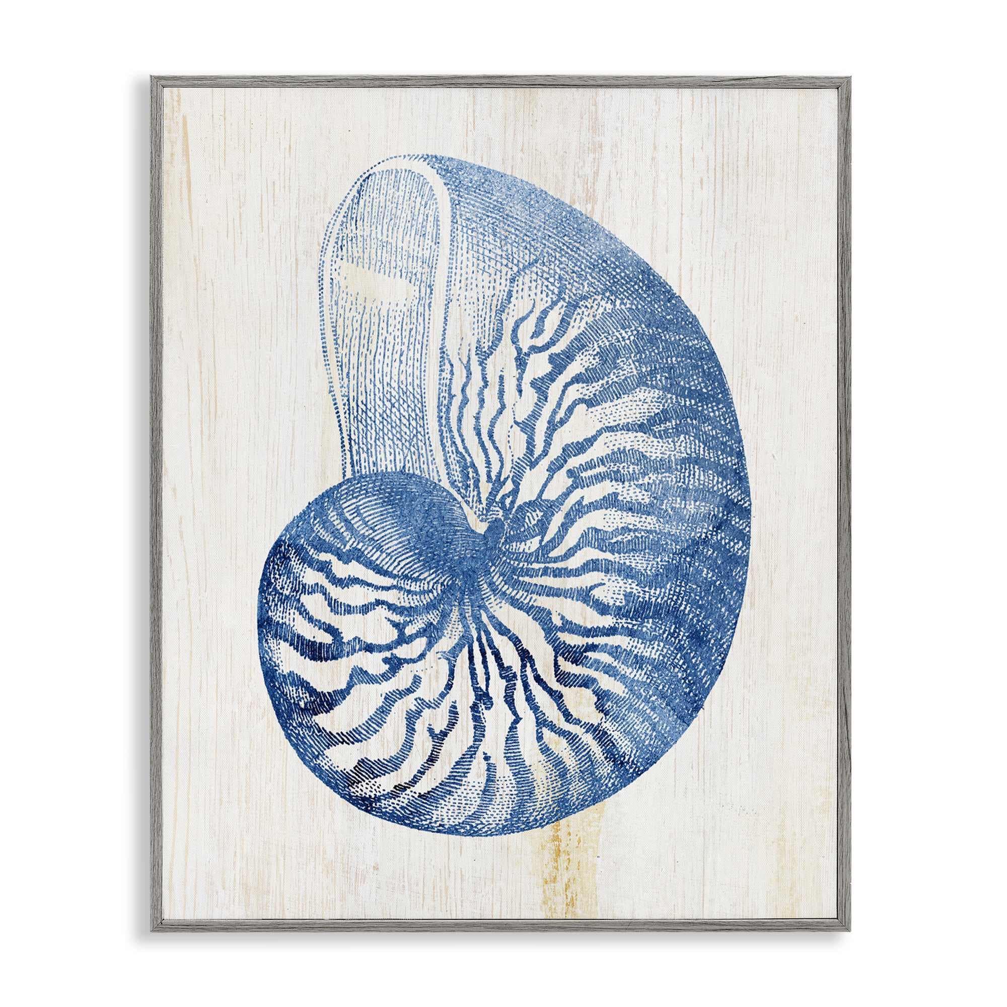 Stupell Industries BS-153-GFF-24X30 Blue Nautilus Shell Gray Framed Giclee Art By Susan Arnot 24 x 30
