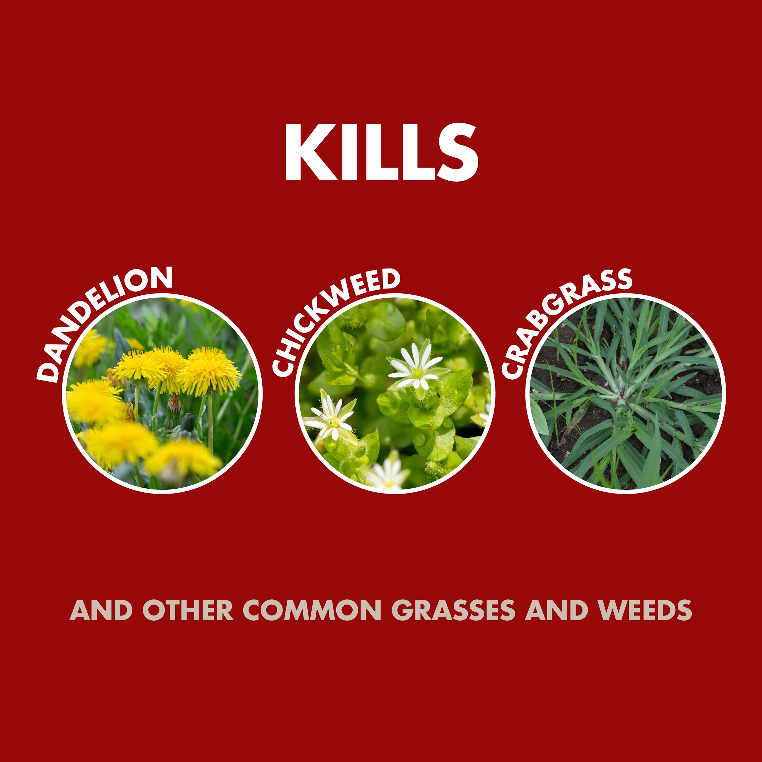 Spectracide HG-96390 Weed-Killers - View #10