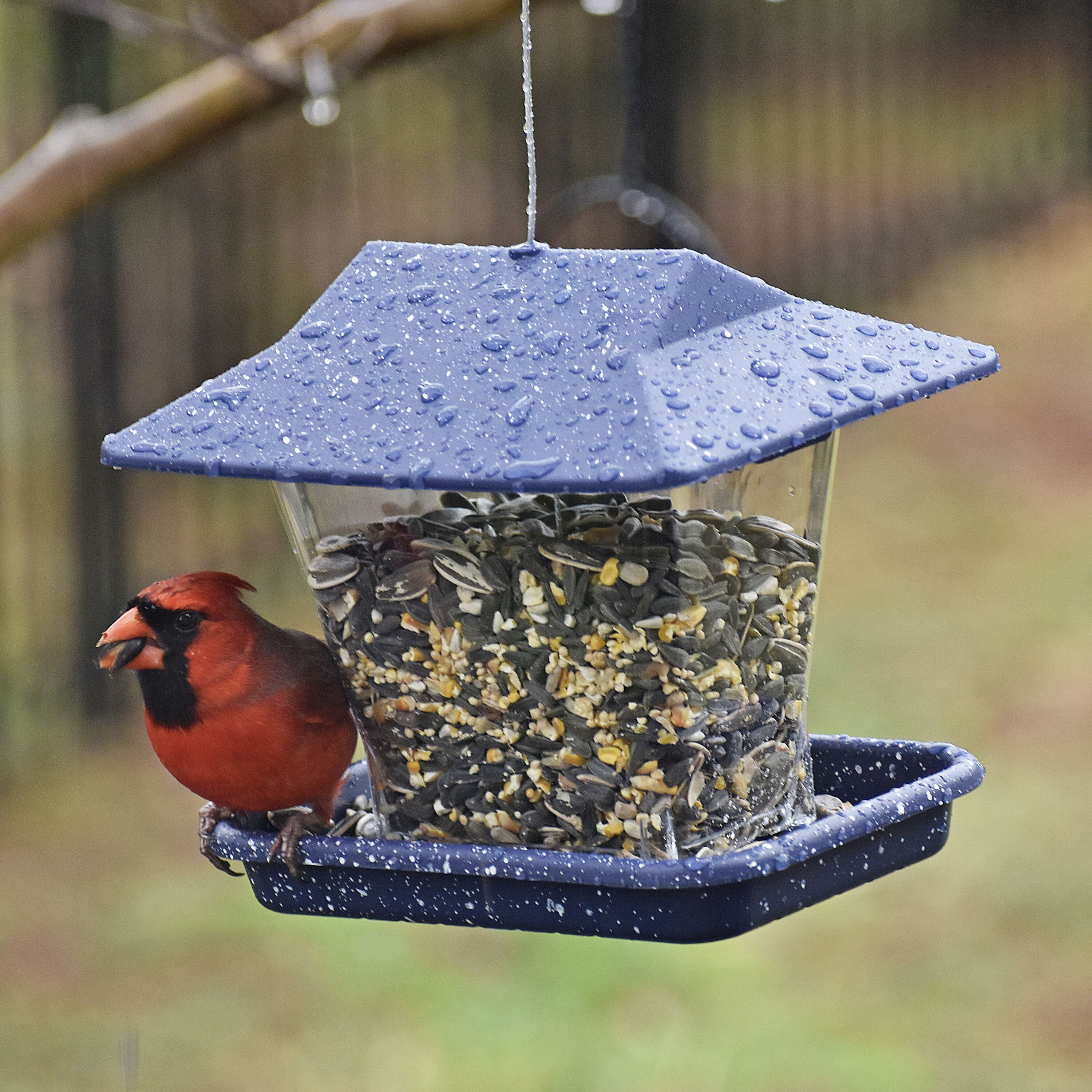 Style Selections 01-692-00 Bird-Feeders - View #5