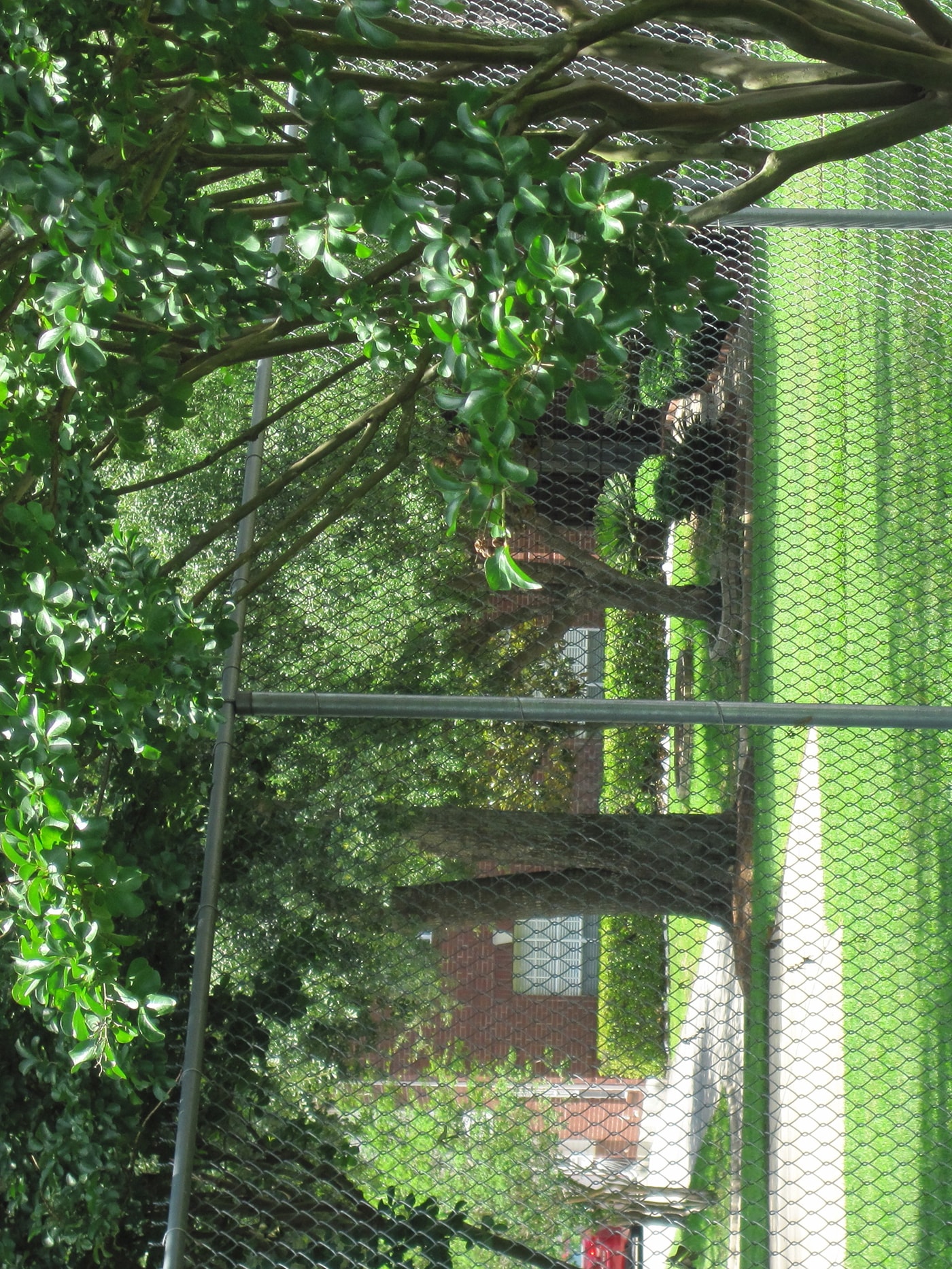  12237 Chain-Link-Fence-Slats - View #2