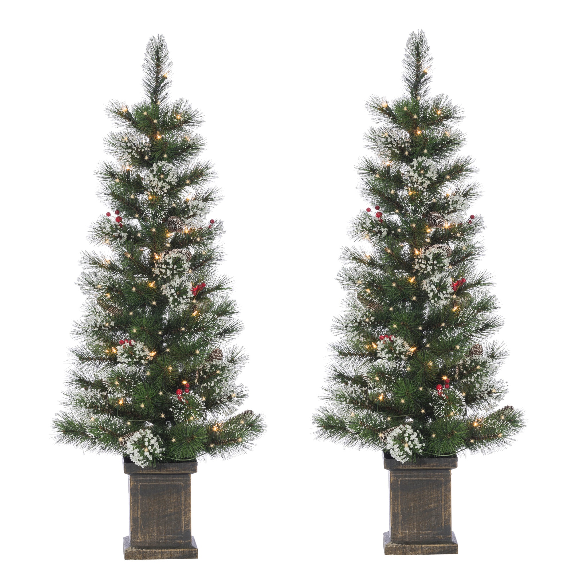 Sterling Tree Company 5229-40C