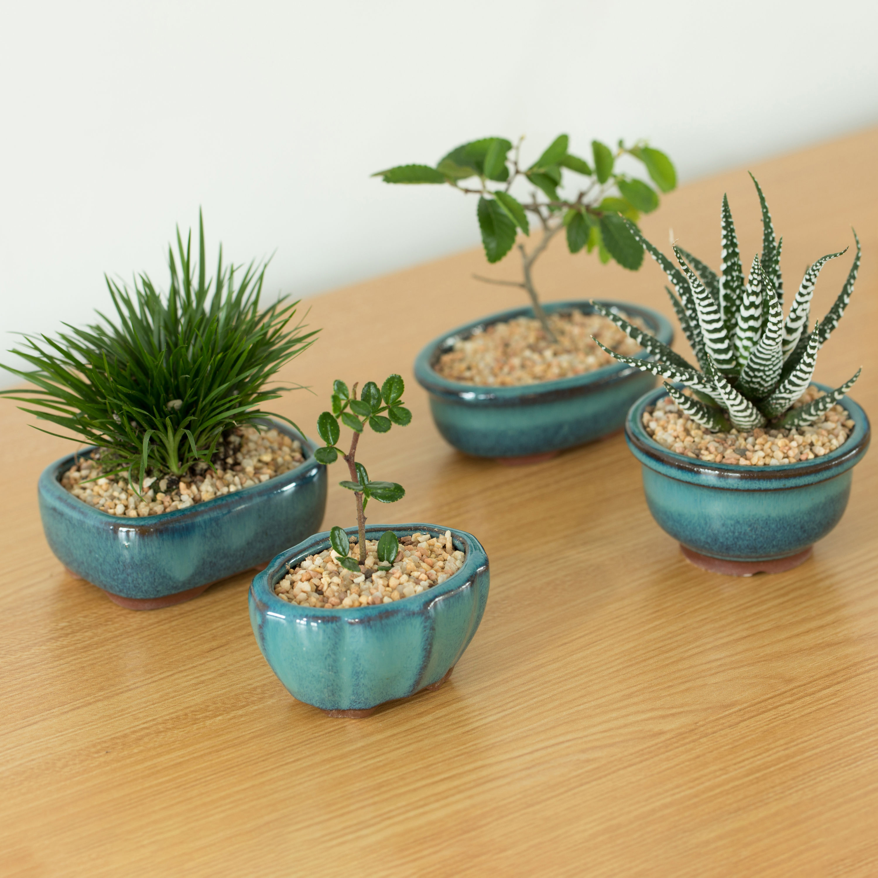 Gardenised QI004100 Planter-Window-Box - View #12