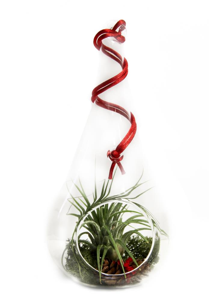 Lowe's GLCHSWCHXX008 7-in Tabletop Decoration Christmas tree(s) Christmas Decor