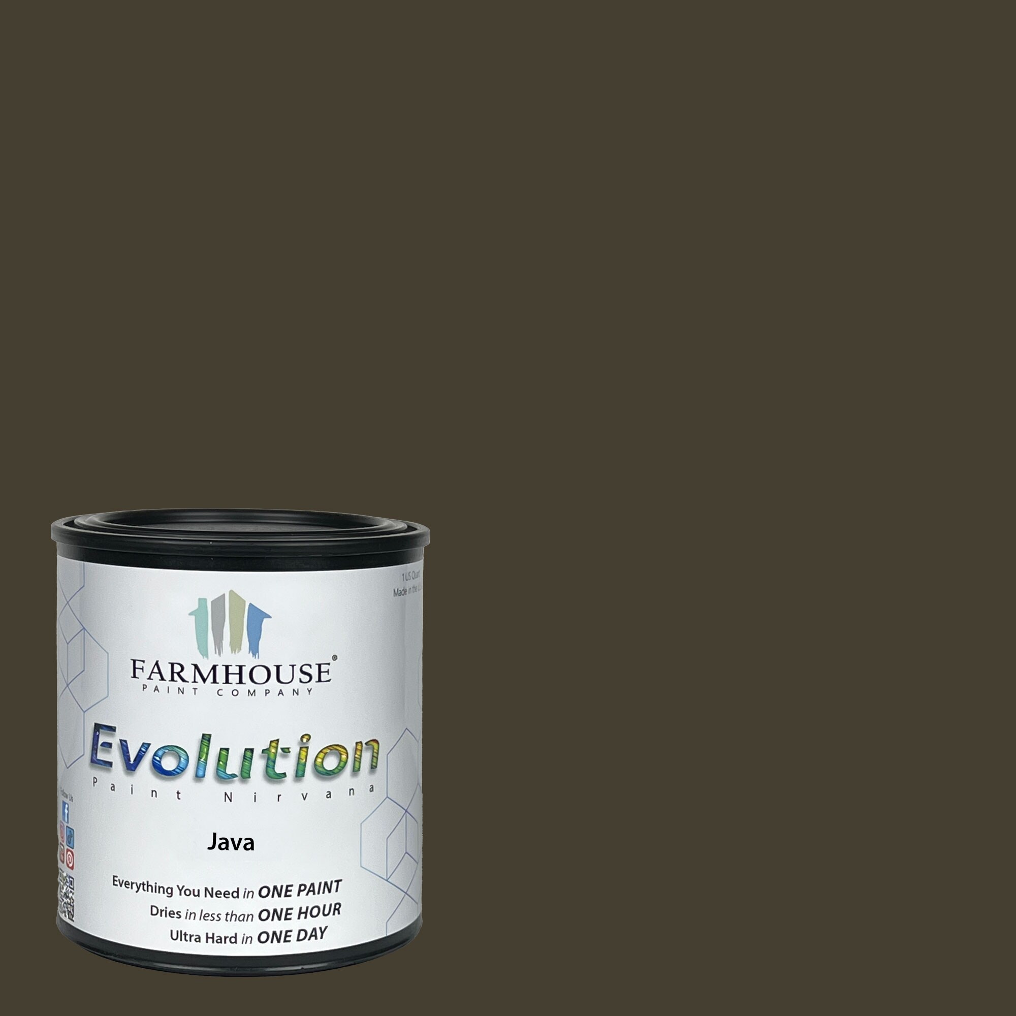 Evolution Paint EVP-JV-Q Satin Java Enamel ( 1-quart )