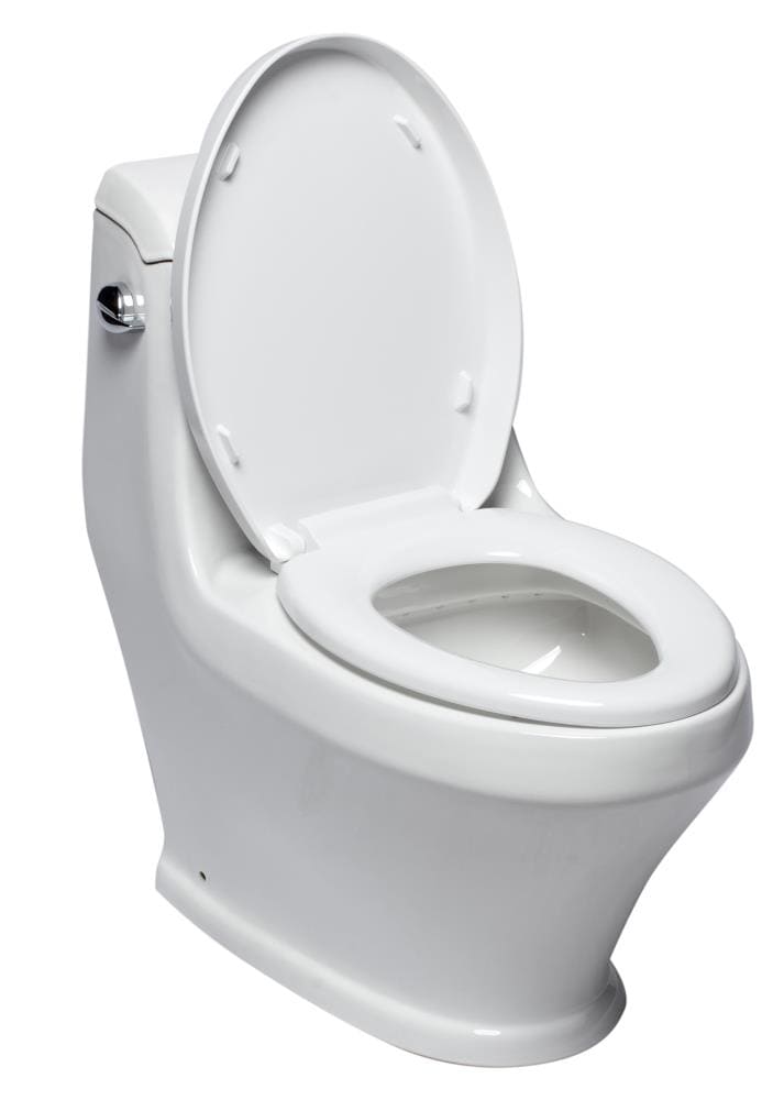 EAGO TB133 toilets - View #3