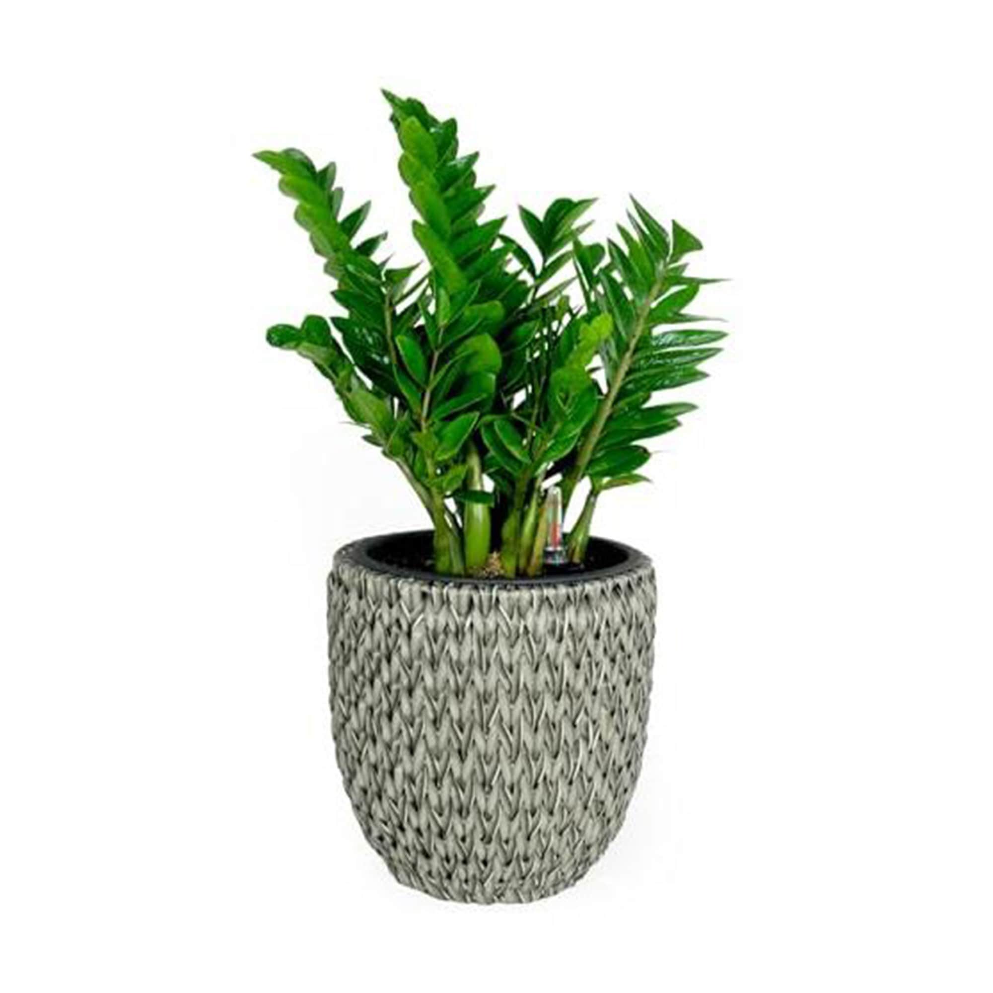 Yiekholo LL-1690AA Planter-Window-Box - View #2